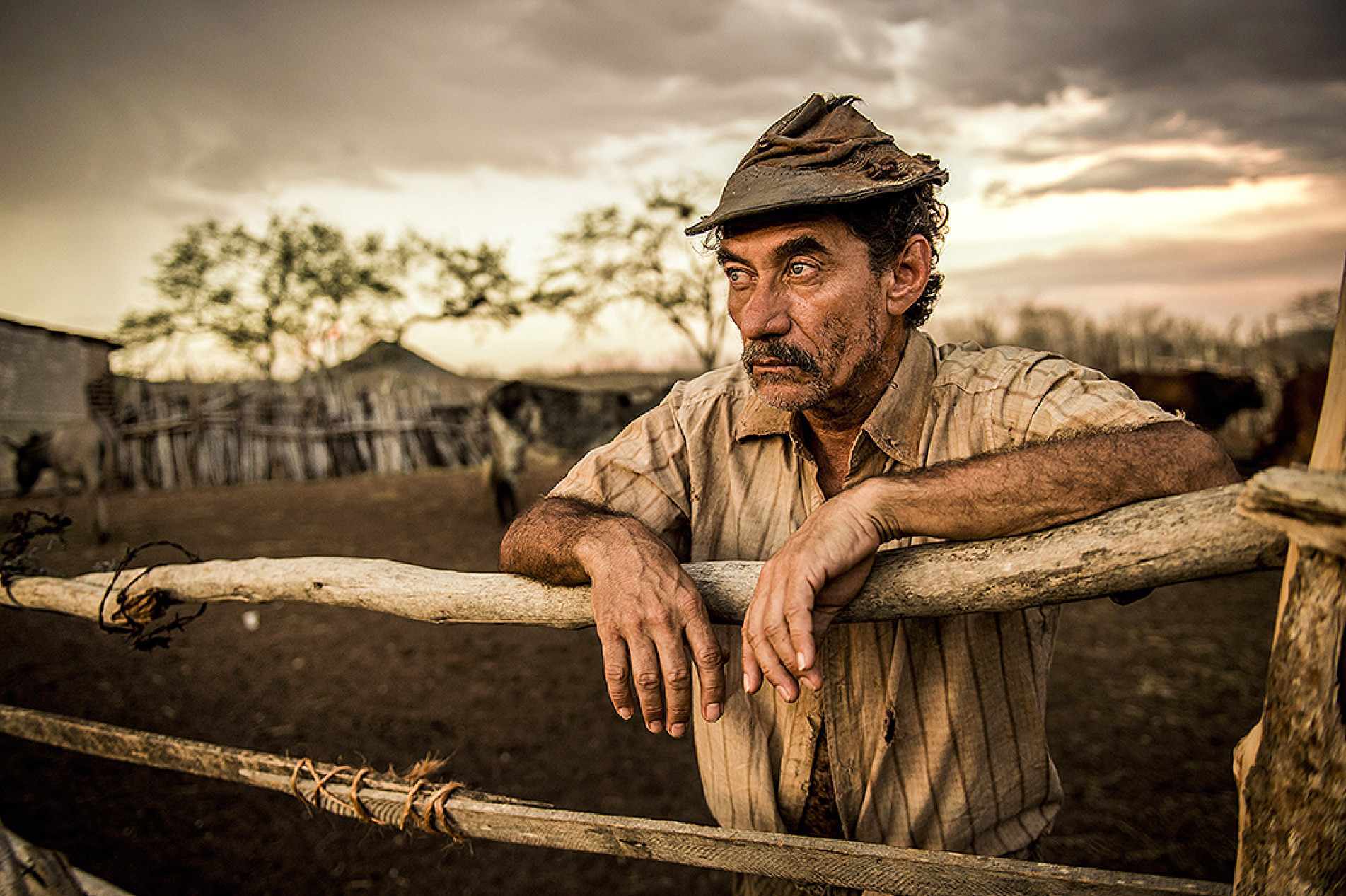  Chico Díaz é reconhecido como um dos nomes mais importantes do cinema nacional

