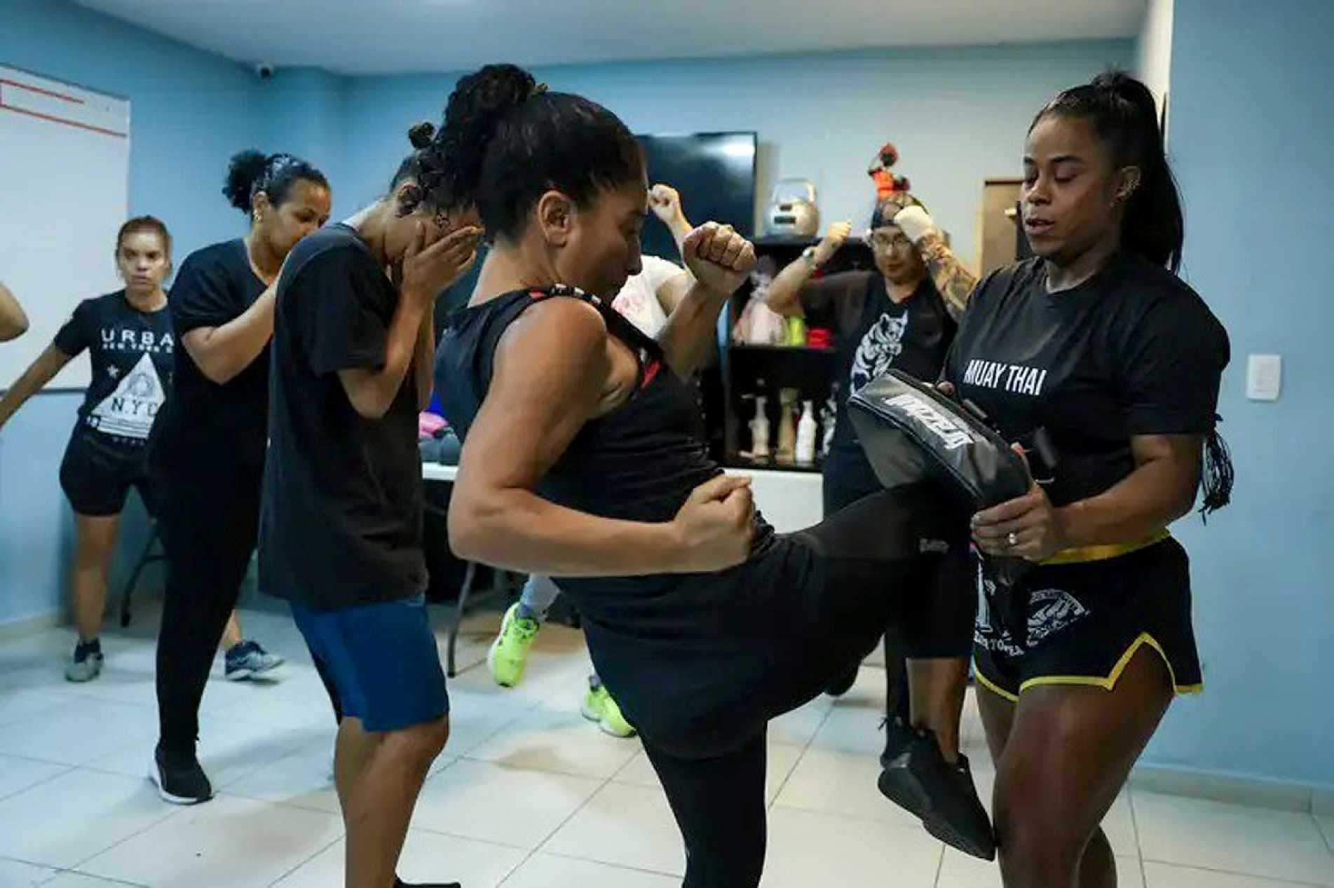 Propostas incluem aulas para mulheres, divulgação de dados do canil e mudanças em normas para bares e eventos