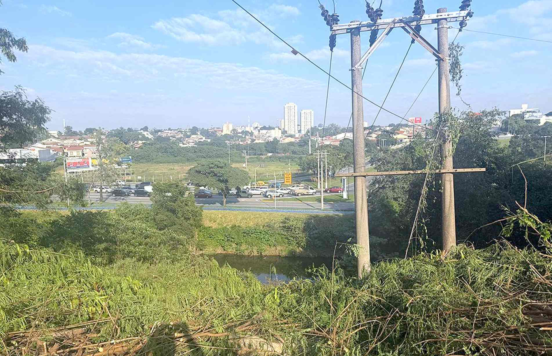 De acordo com a denúncia serão destruídos mais de 50 mil metros quadrados de vegetação nativa da Mata Atlântica
