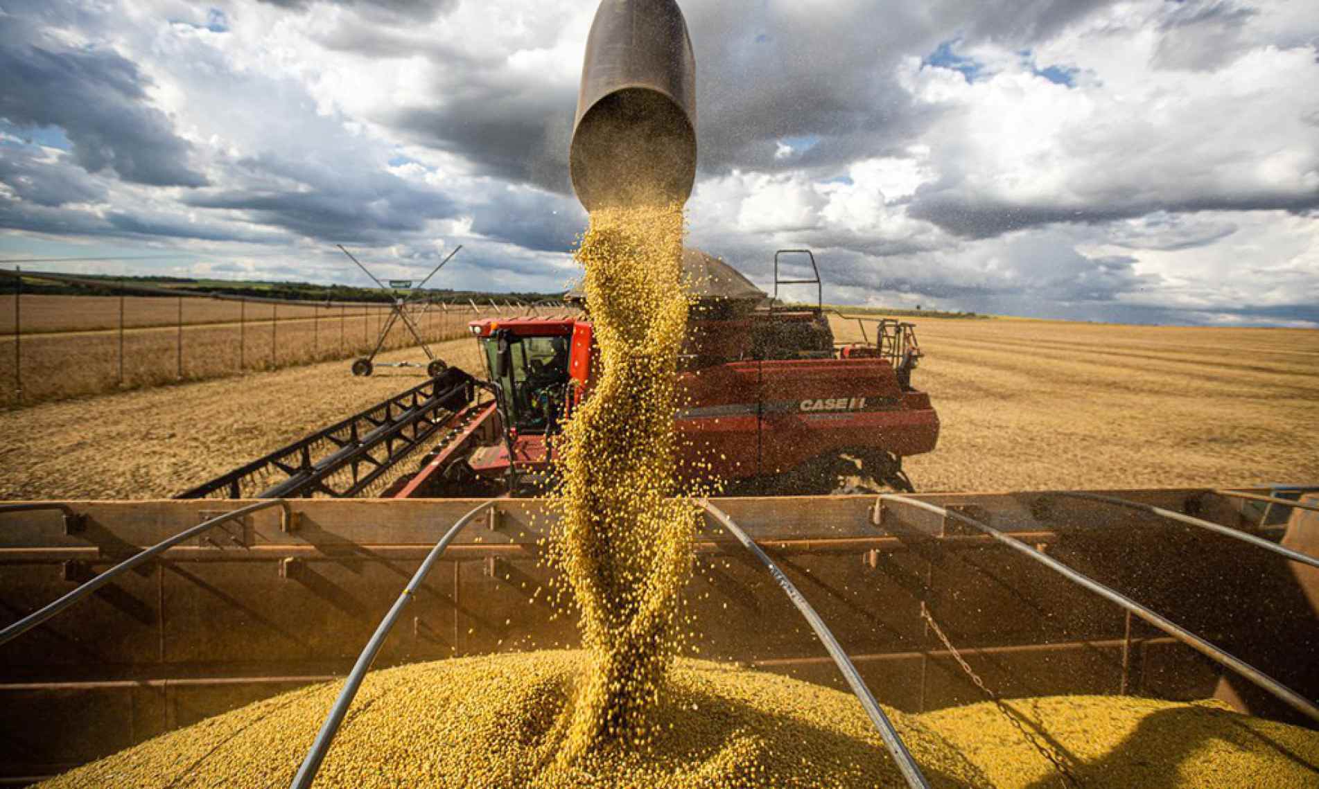 Setor agropecuário apresenta crescimento de 2% neste início de ano devido à boa safra 
