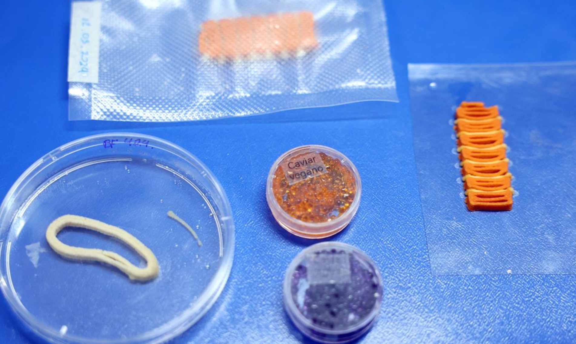 Material é fruto de pesquisa em Brasília, que durou 30 meses
