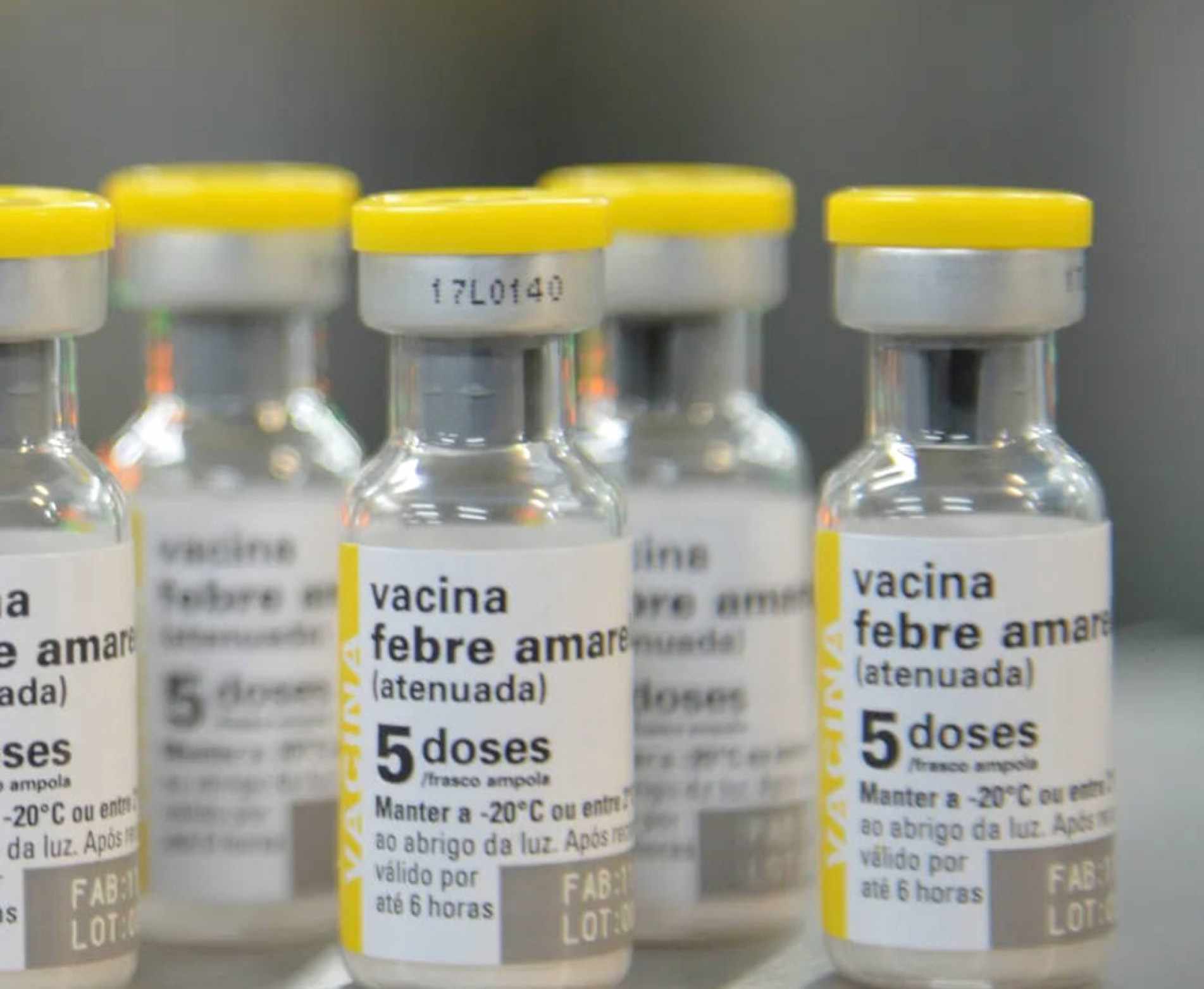 Vacinação contra doença está disponível 
