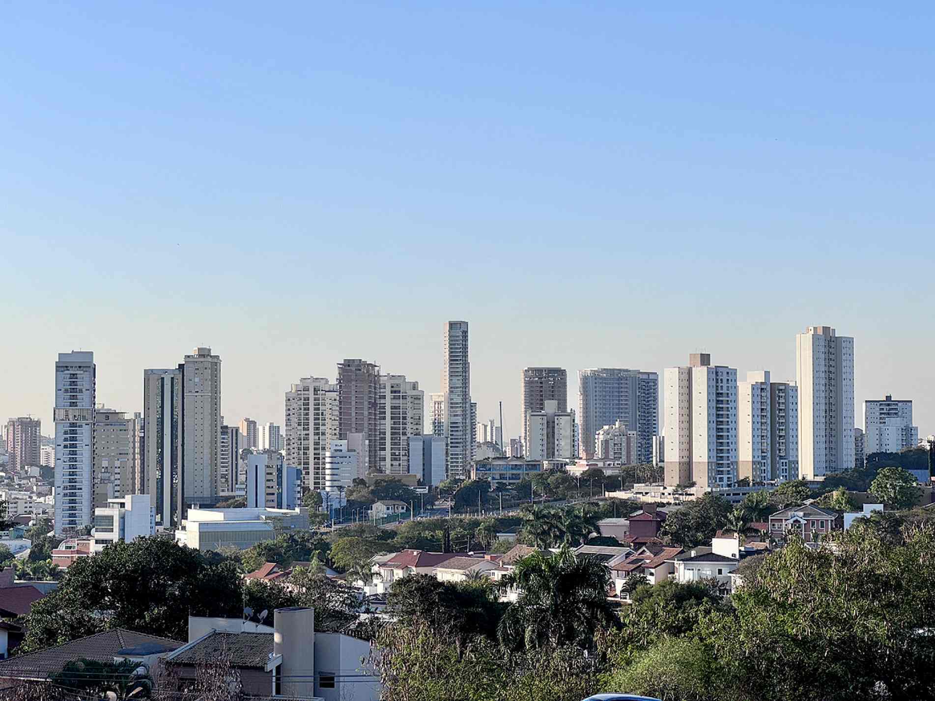 Encontro virtual acontece hoje (9)
