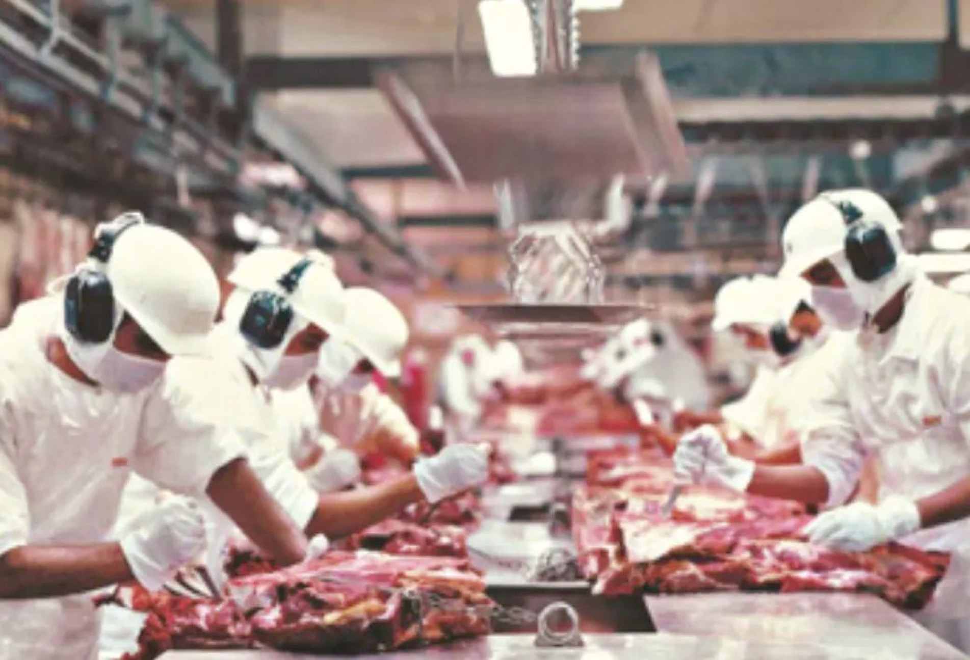 ABPA diz que há debate sobre processos de fiscalização
