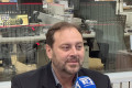 . - FREDERICO SPINDOLA