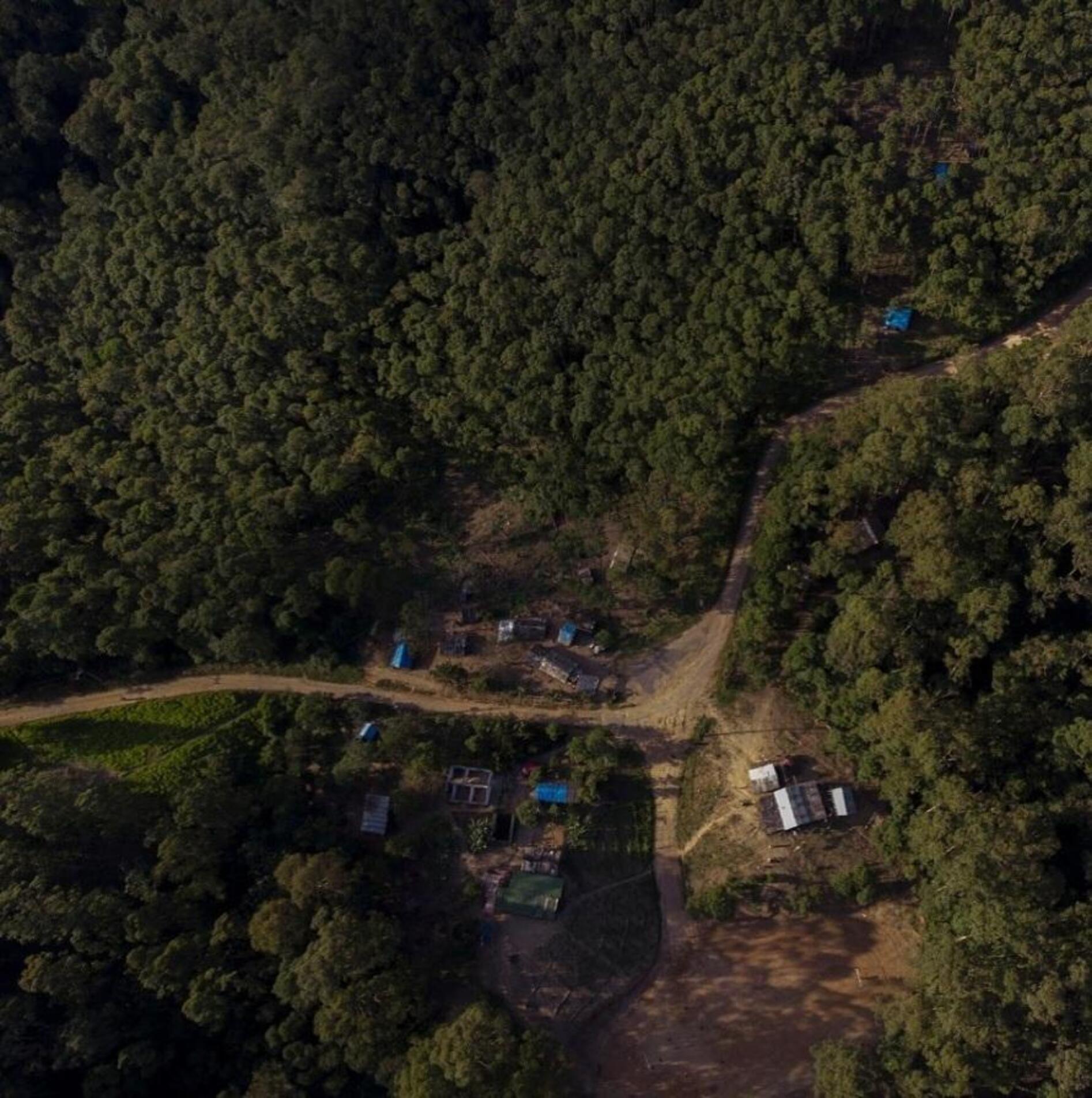 Aldeia comemora conquista que fortalece a cultura e os saberes Guarani Mbya