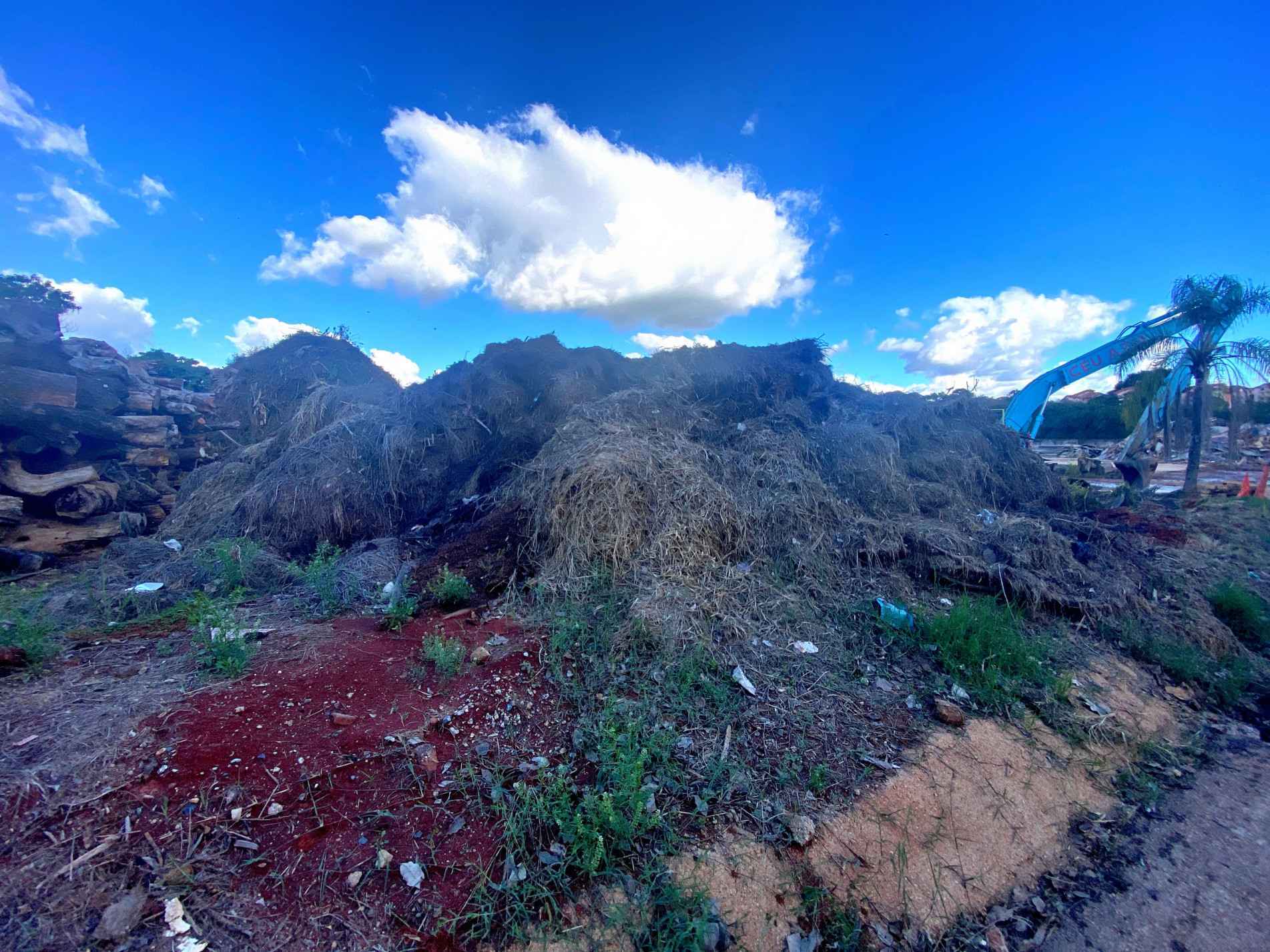 Cidade produz 630 toneladas de res&iacute;duos por dia; na foto, restos de &aacute;rvores, depois de podas feitas pela prefeitura