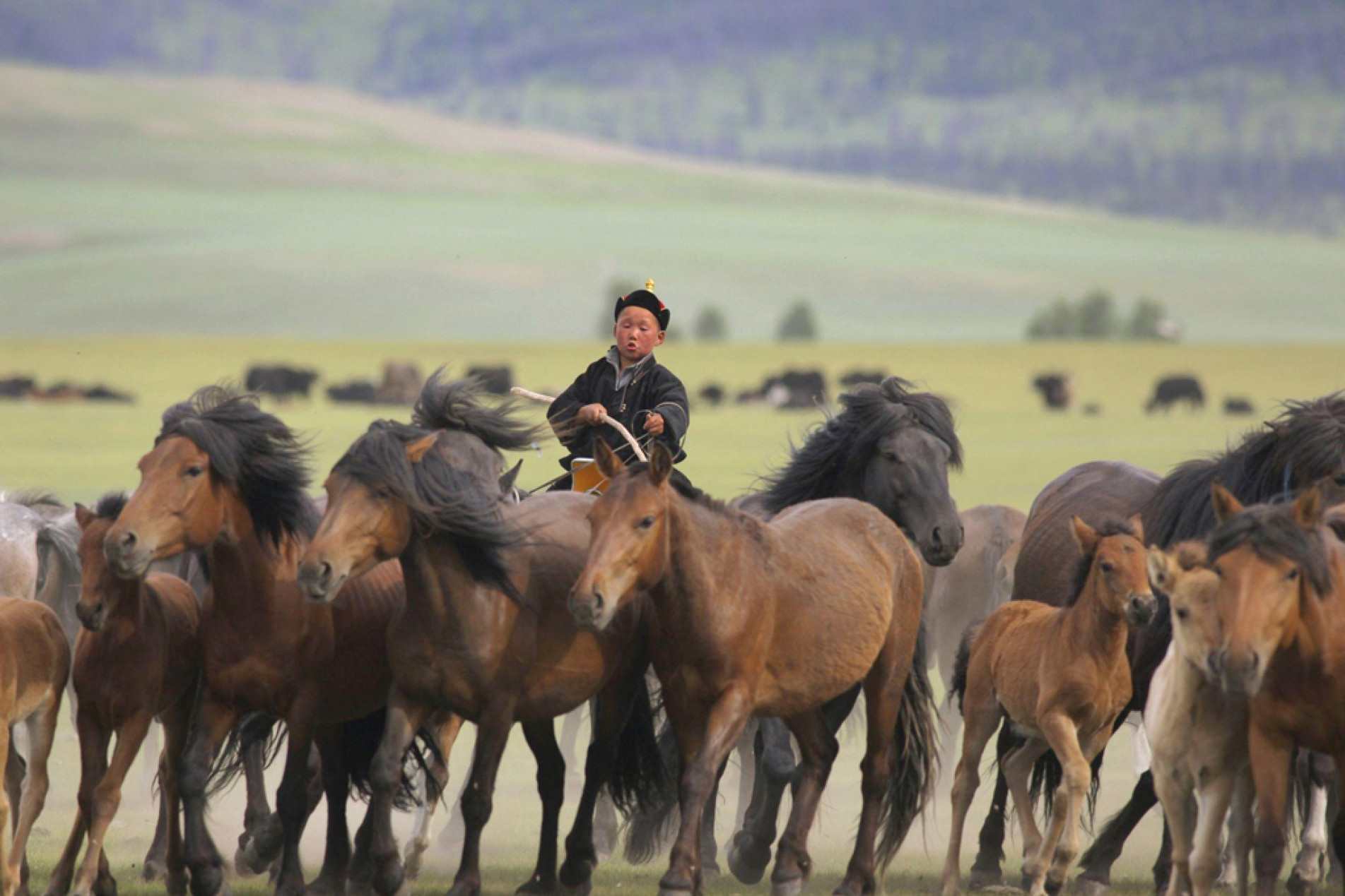 Na Mongólia, muitas crianças aprendem a montar a cavalo desde cedo. 
Os cavalos fazem parte da cultura e do cotidiano do país há milhares de anos
