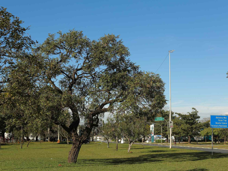 previsão do tempo sorocaba: o detalhe que mais repercutiu