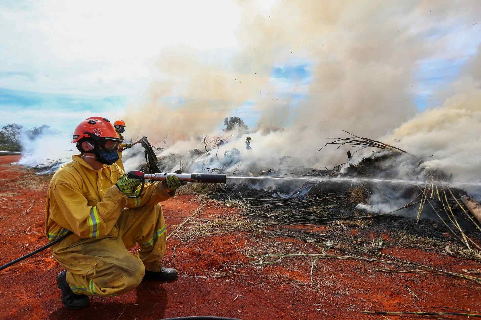Baixa umidade e ventos favorecem fogo na vegetação