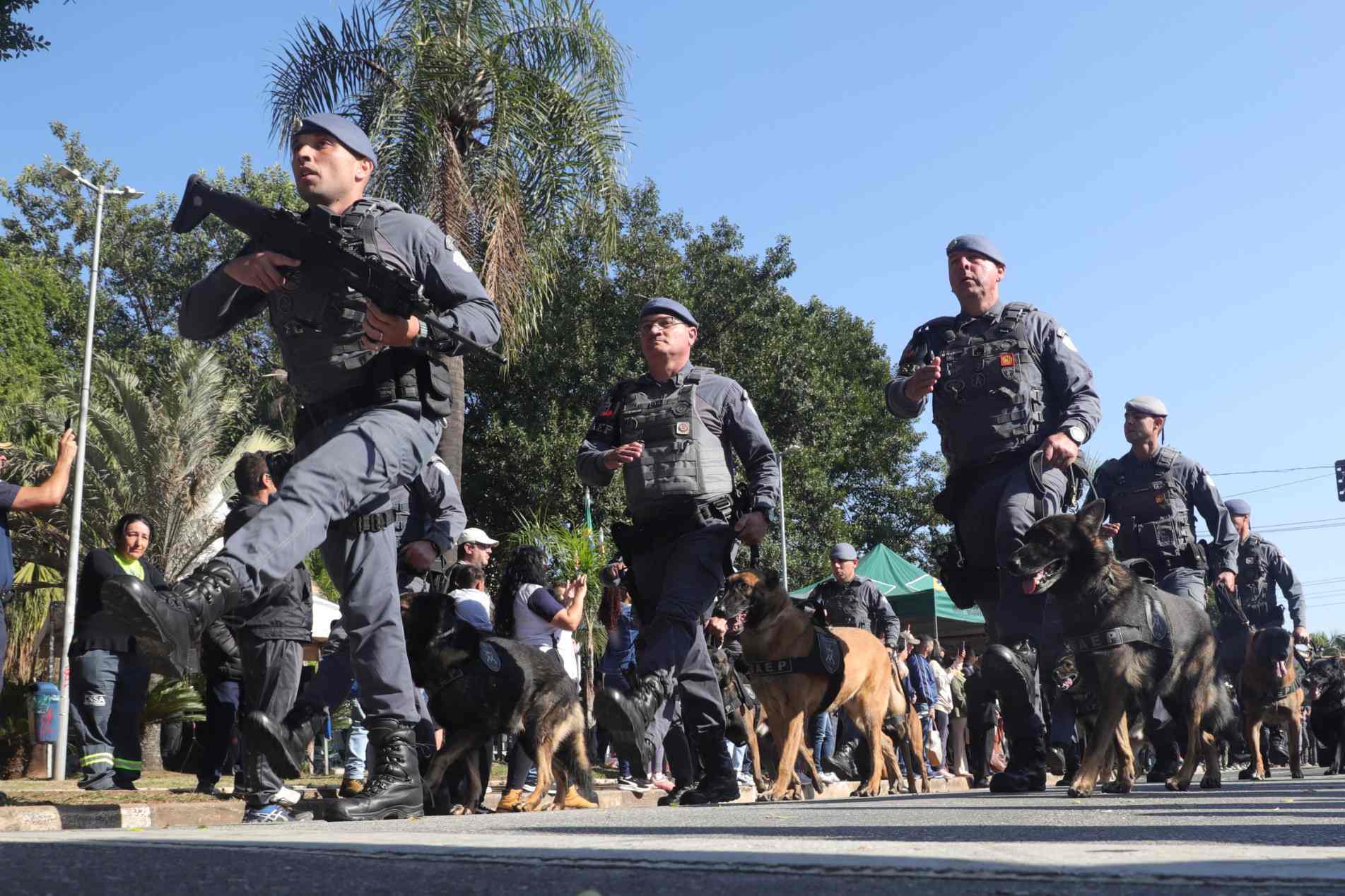 Programação inclui hasteamento das bandeiras, homenagem aos combatentes constitucionalistas e desfile de tropas e viaturas da PM
