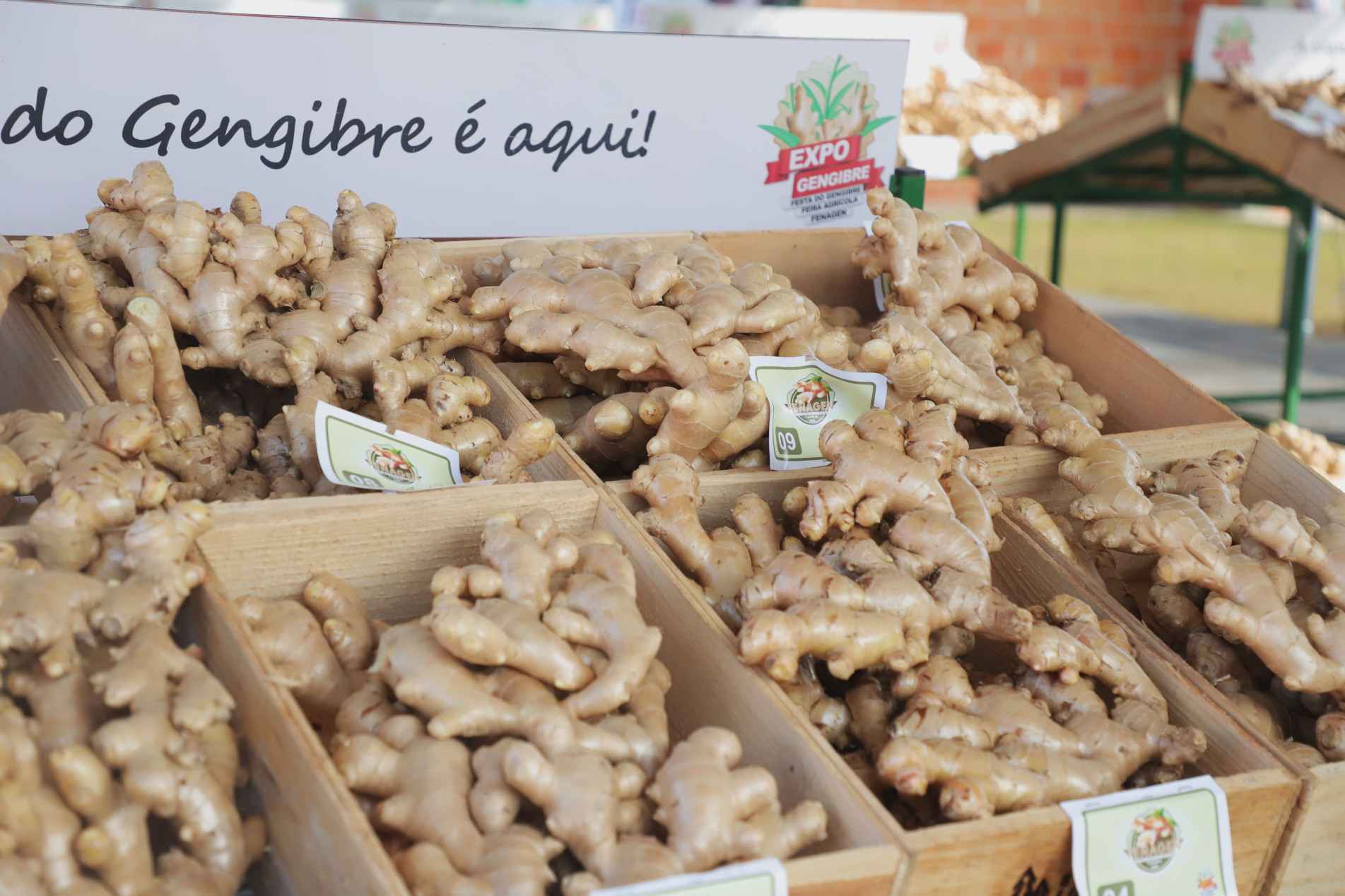 Evento reúne agronegócio, culinária caipira e shows.
 Dupla Munhoz & Mariano é a principal atração de hoje