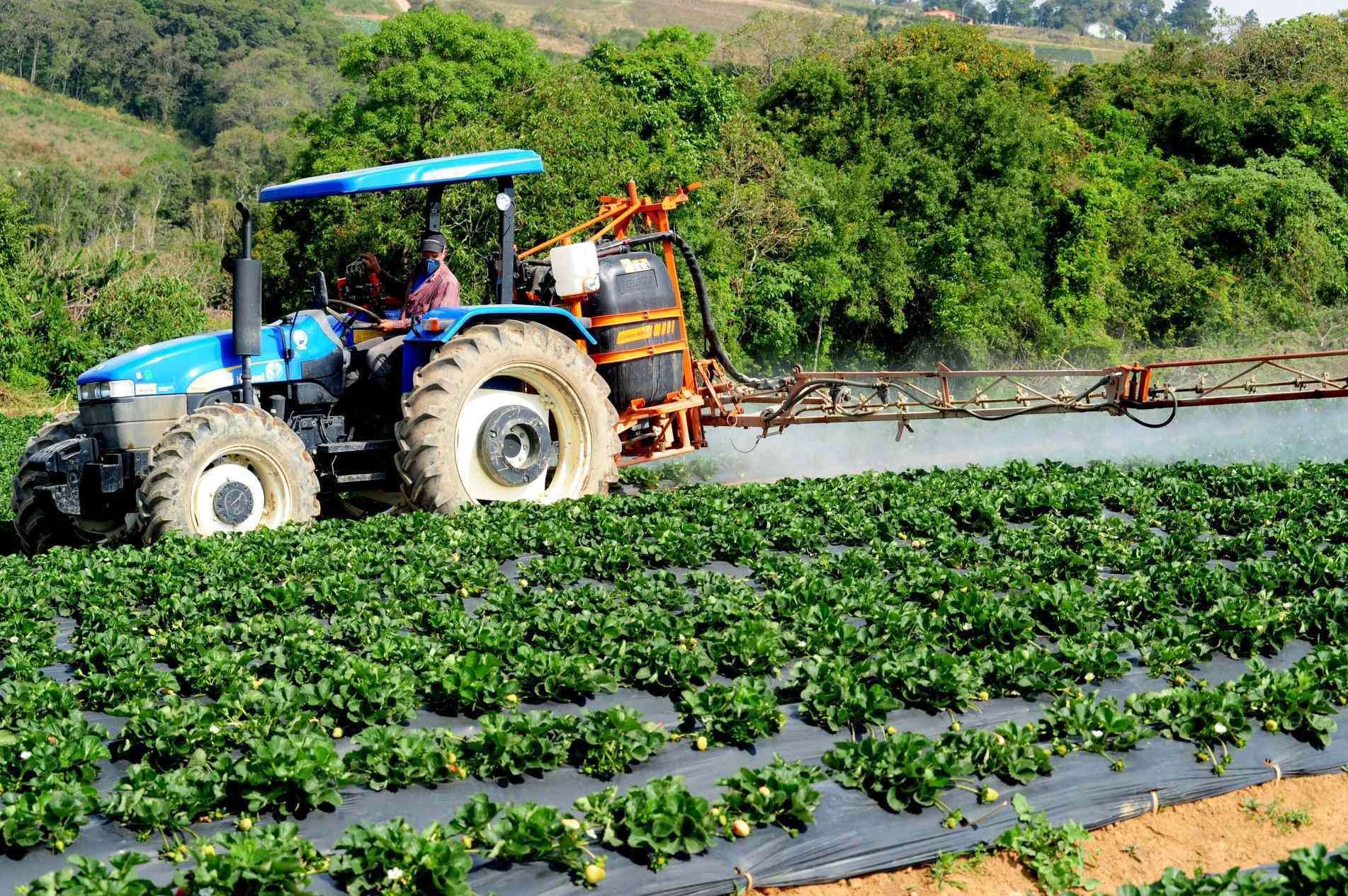 Medida é para agricultures que tiveram perdas 