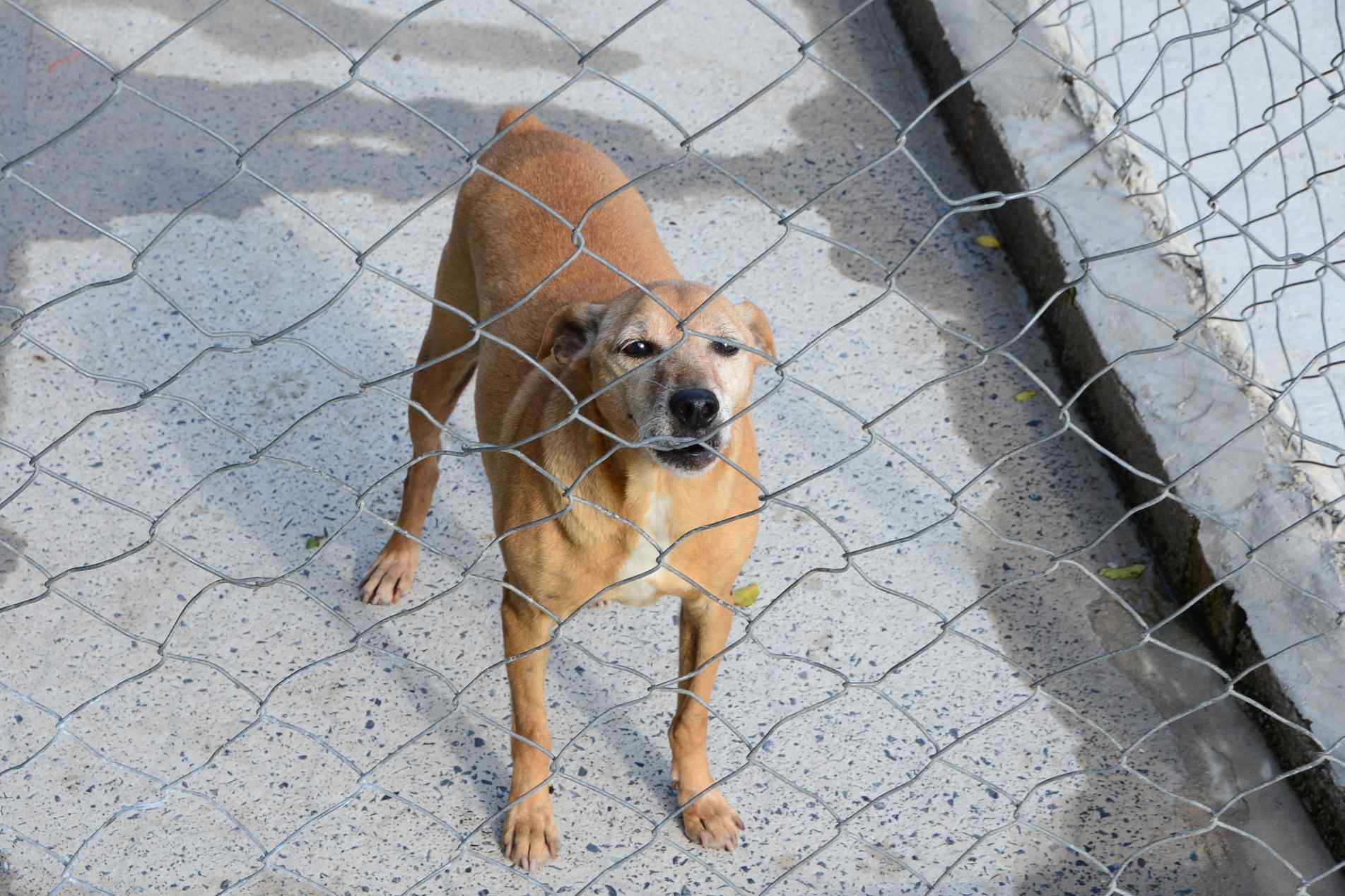 Informações deverão ser divulgadas mensalmente, em
locais como Portal da Transparência e site da prefeitura