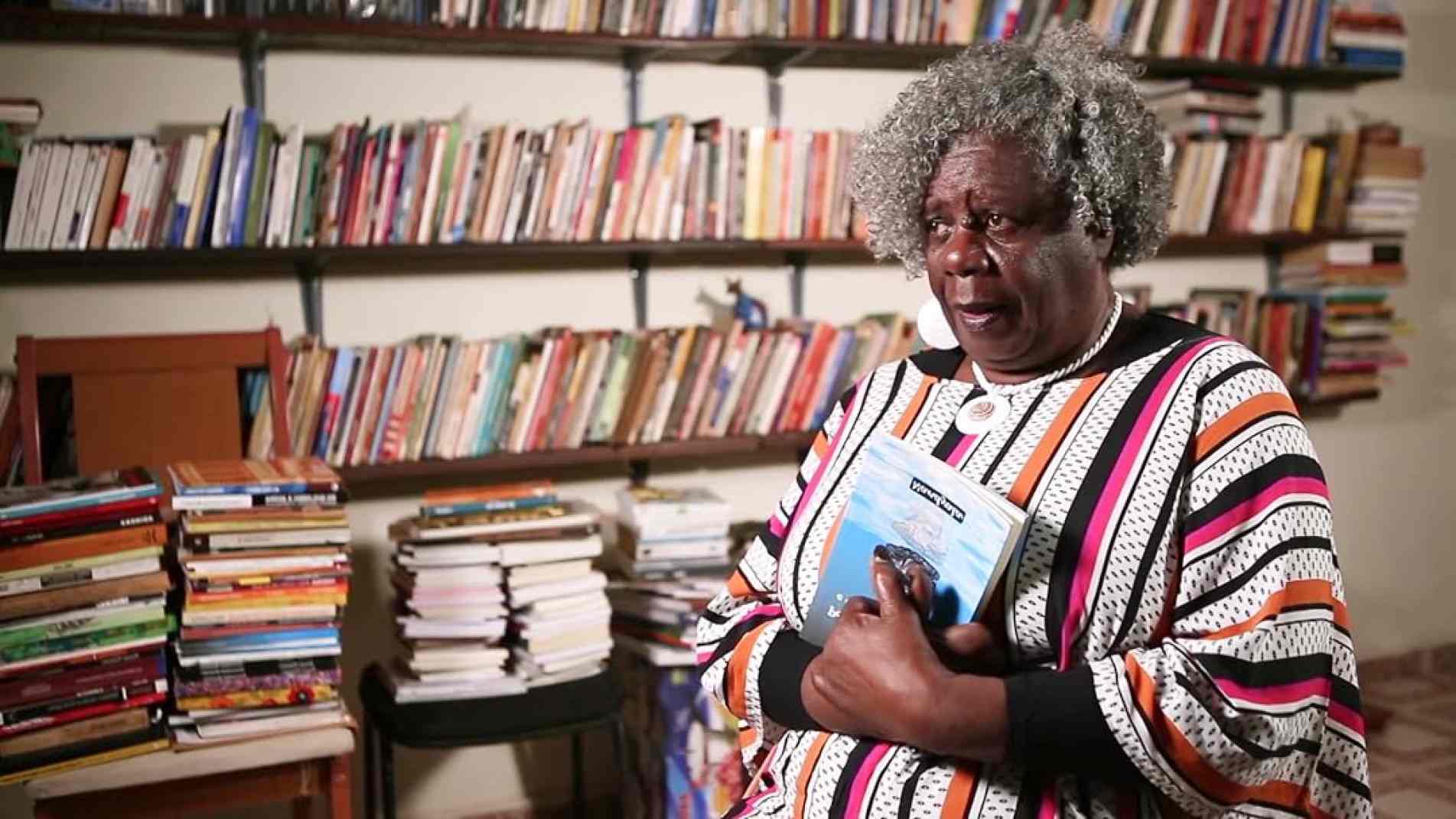 O projeto Somos Cinema promove hoje (16), às 19h, a exibição gratuita do documentário 