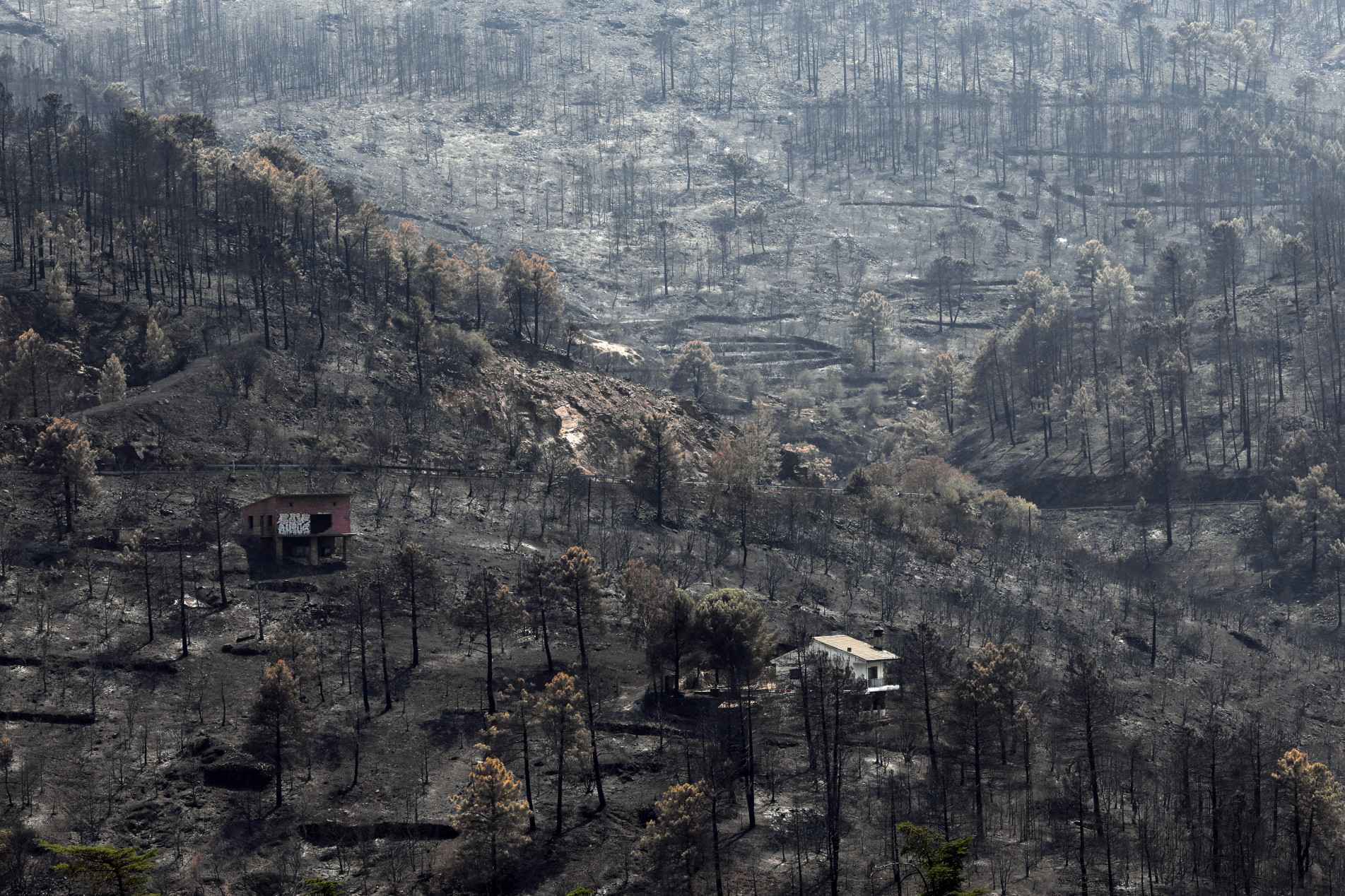 Fogo atingiu grandes regiões da Espanha e destruiu moradias