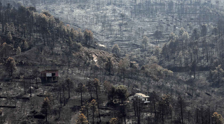 Incêndios florestais se propagam e Europa entra em alerta