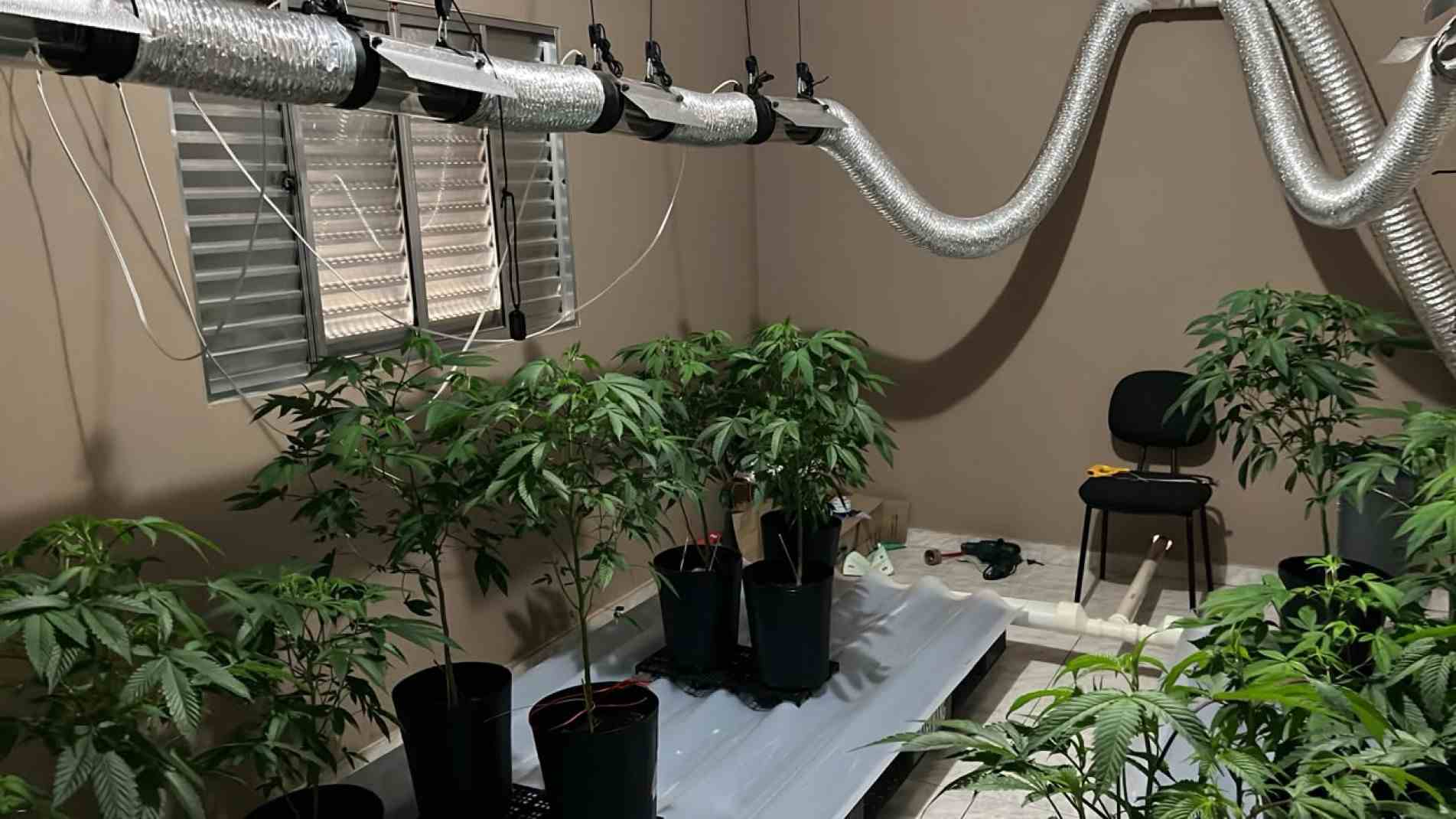 O autor foi autuado em flagrante por trafico de drogas e passará por audiência de custodia na manhã desta sexta (31)
