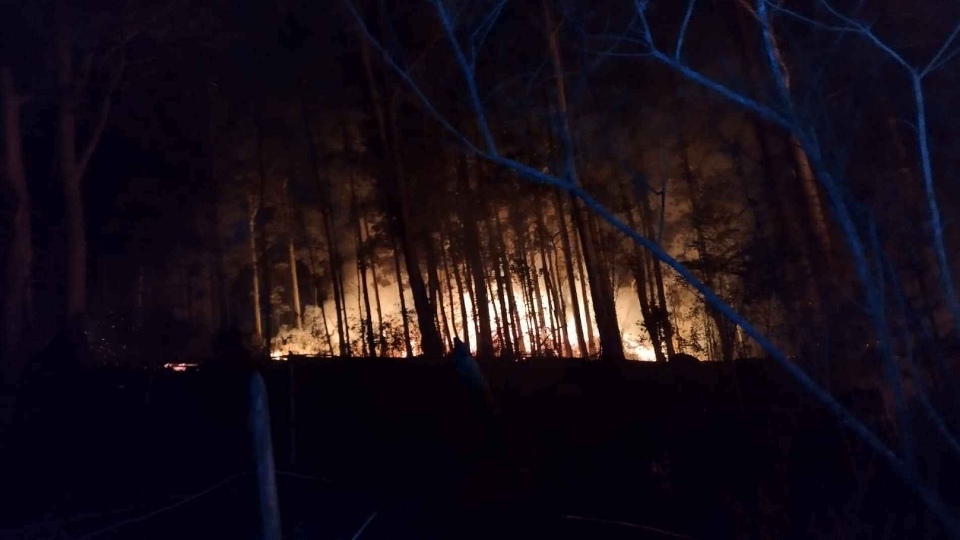 Incêndio começou na noite de quinta-feia 