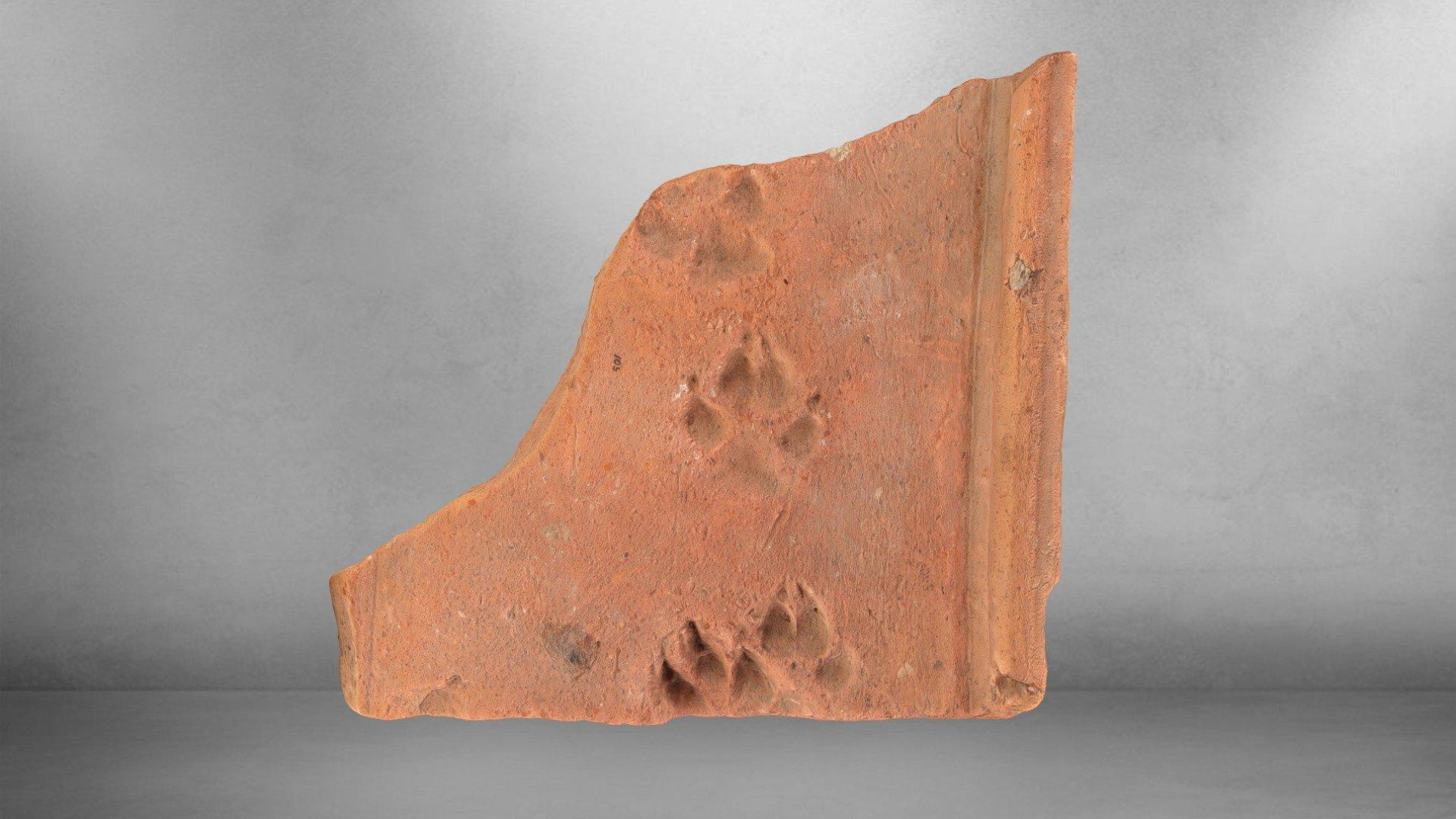 Telha romana de terracota conserva marcas de patas de cachorro deixadas quando a argila ainda estava fresca