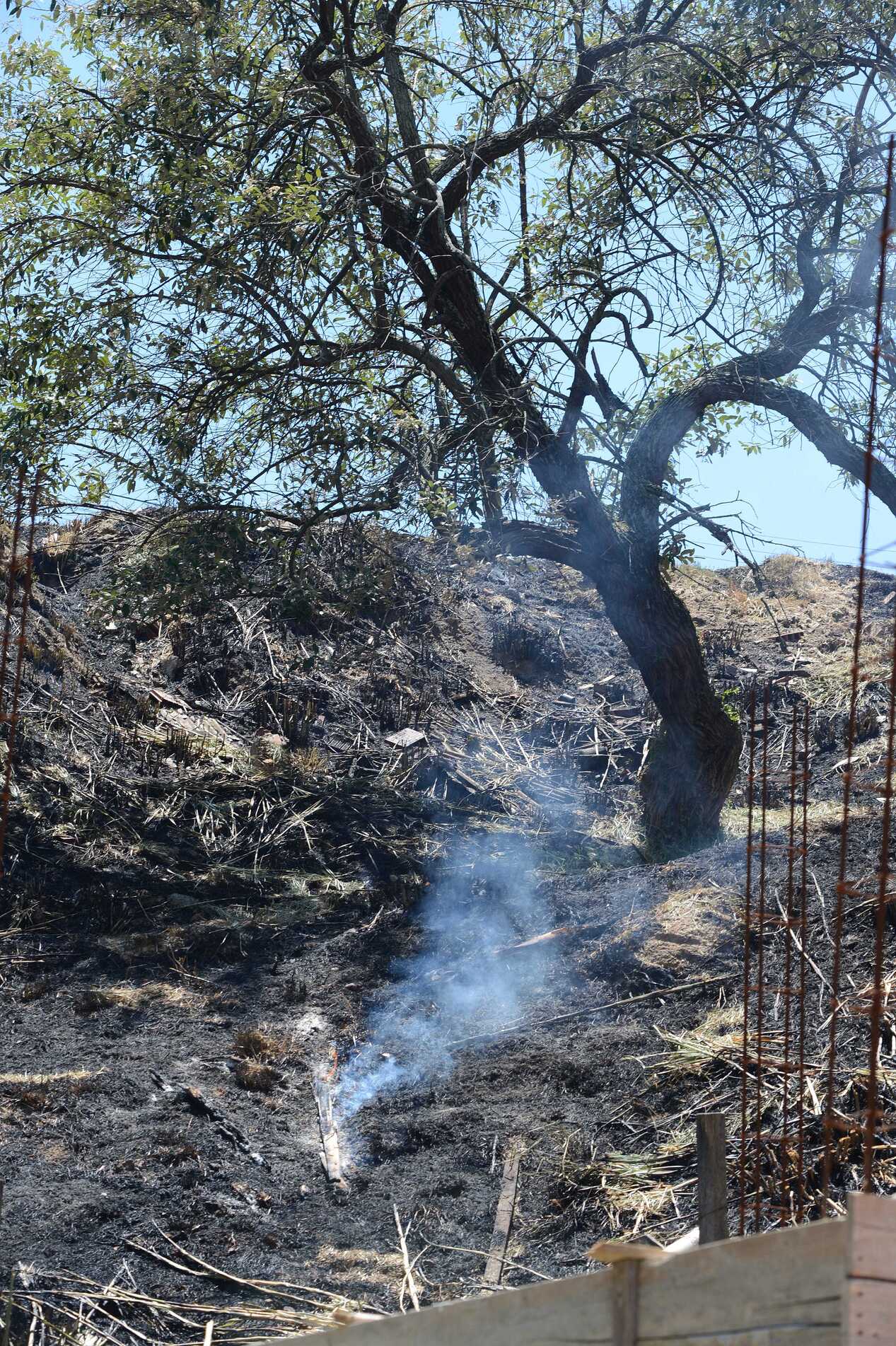 Períodos de altas temperaturas, baixa umidade do ar e vegetação ressecada favorecem a ocorrência de incêndios