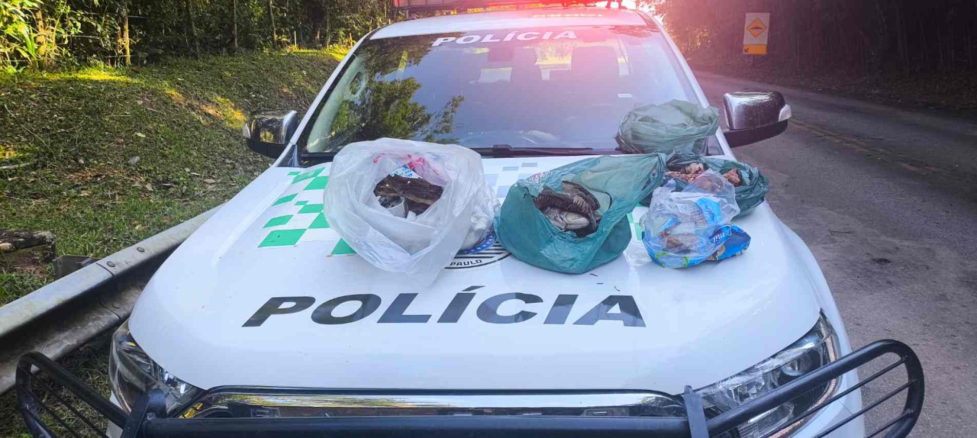 Aves e os peixes foram apreendidos e, posteriormente, encaminhados para destruição em fornos