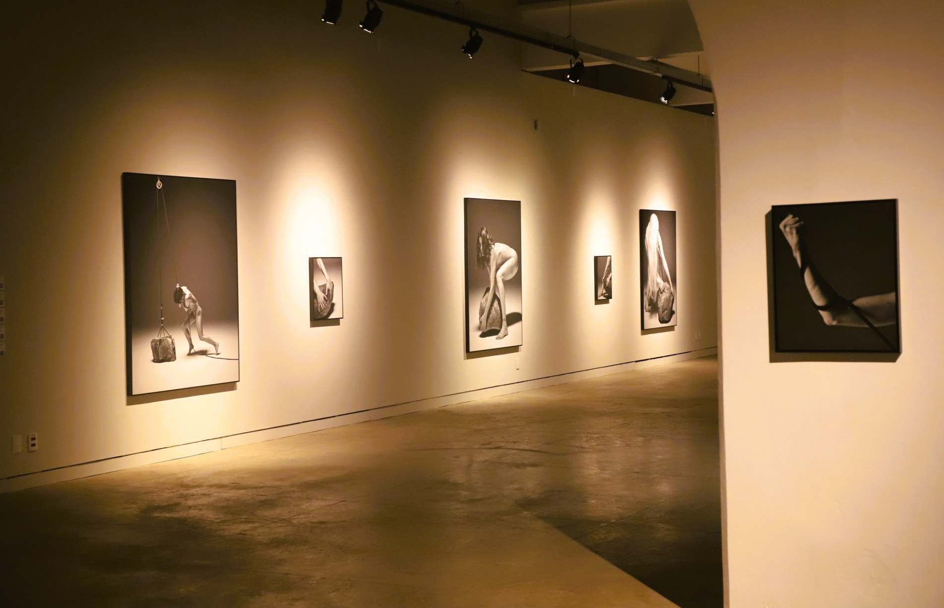 Com curadoria de Patr&iacute;cia Borges, "Gravitas" marca a estreia brasileira do projeto desenvolvido pelo artista T&uacute;lio Pinto em colabora&ccedil;&atilde;o com o fot&oacute;grafo Eduardo Rezende. O trabalho havia sido apresentado anteriormente na Piero Atchugarry Gallery, em Miami, nos Estados Unidos. 