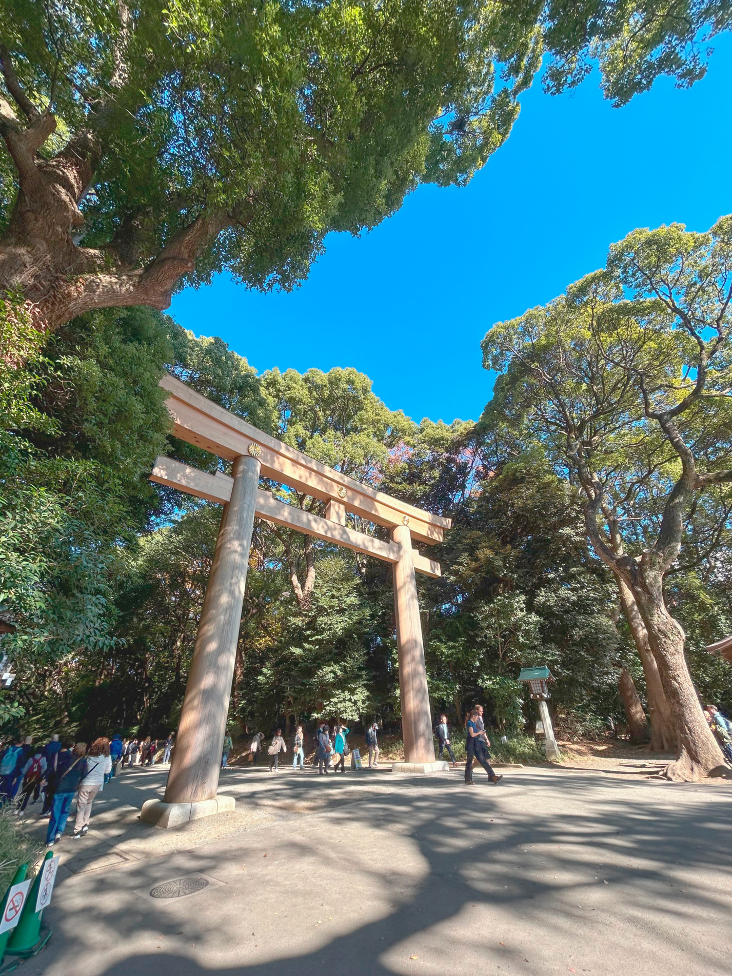 Florestas sagradas do Japão