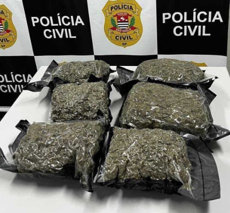 Droga foi apreendida