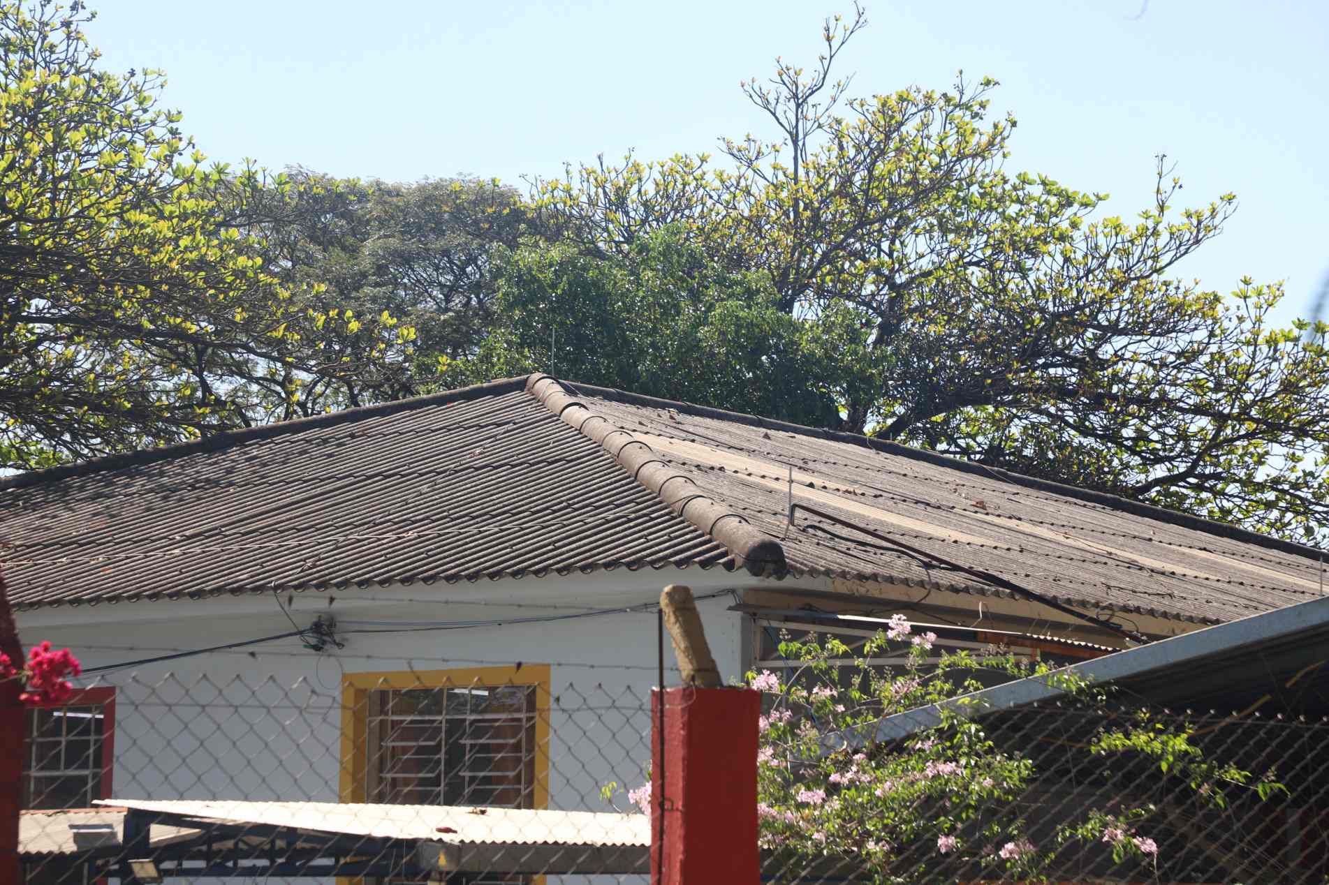 Vereadores aprovaram a troca de telhas de amianto em prédios públicos 
e derrubaram parecer de inconstitucionalidade do Executivo