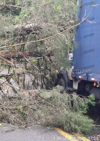 Árvore cai sobre caminhão em rodovia de Tapiraí