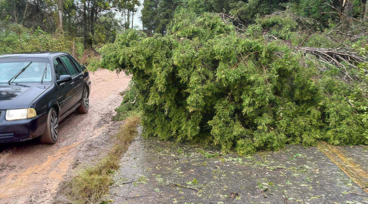 Piedade tem chuva de granizo e queda de pelo menos 30 árvores
