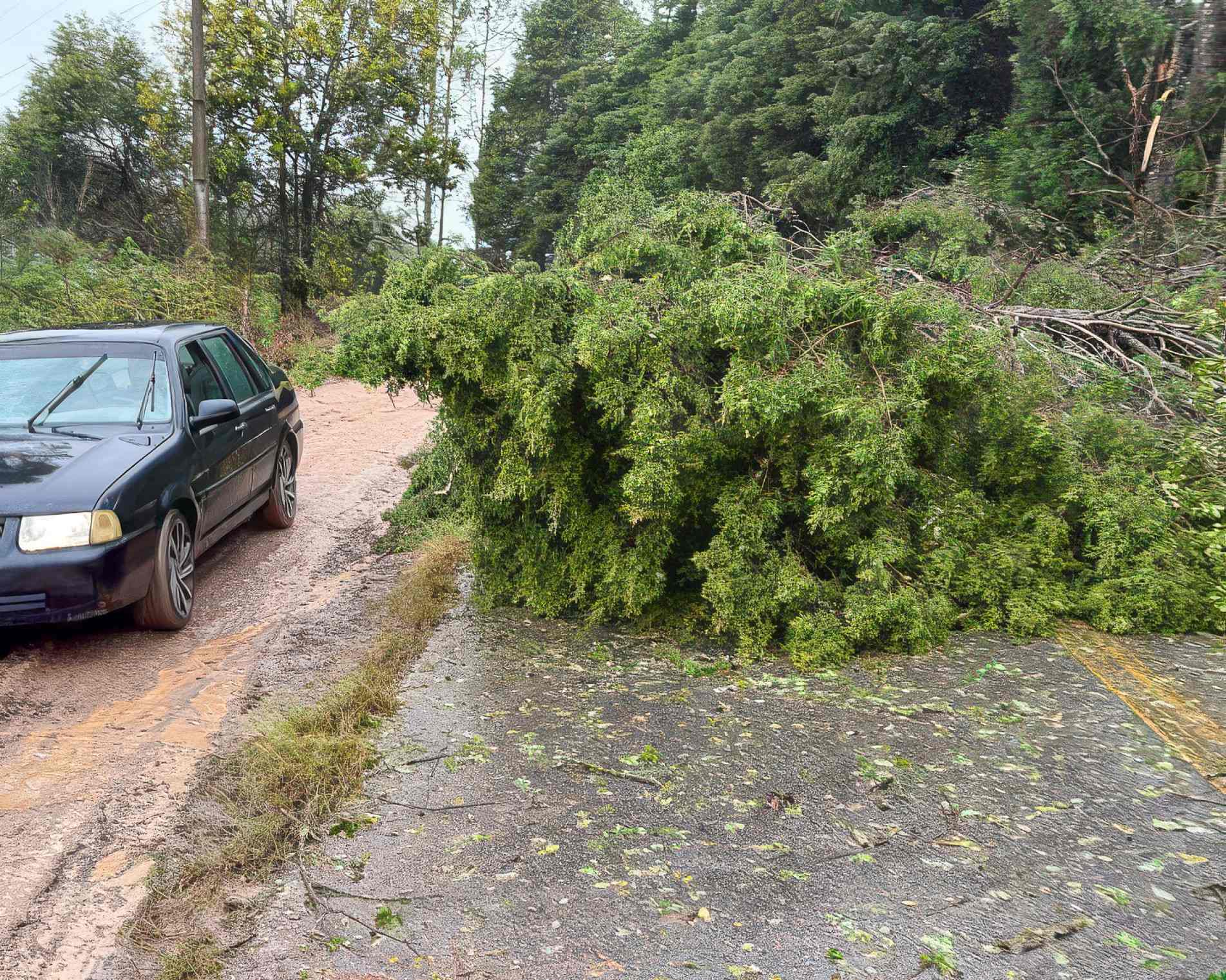 Defesa Civil registra 40 milímetros de chuva
em 24 horas durante o temporal