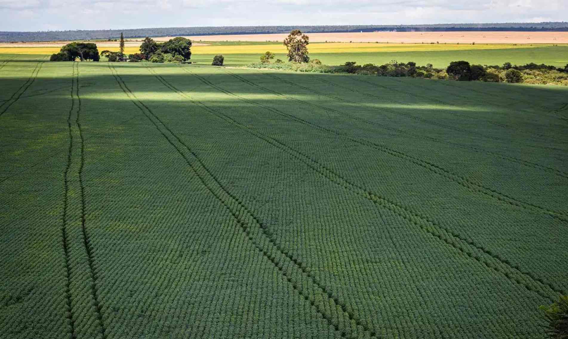 Agricultura 