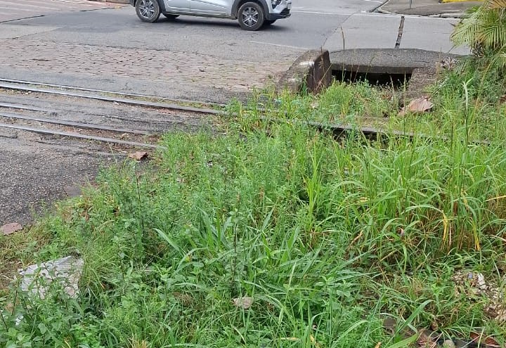 Local na Vila Assis apresenta galhos, entulho e mau cheiro