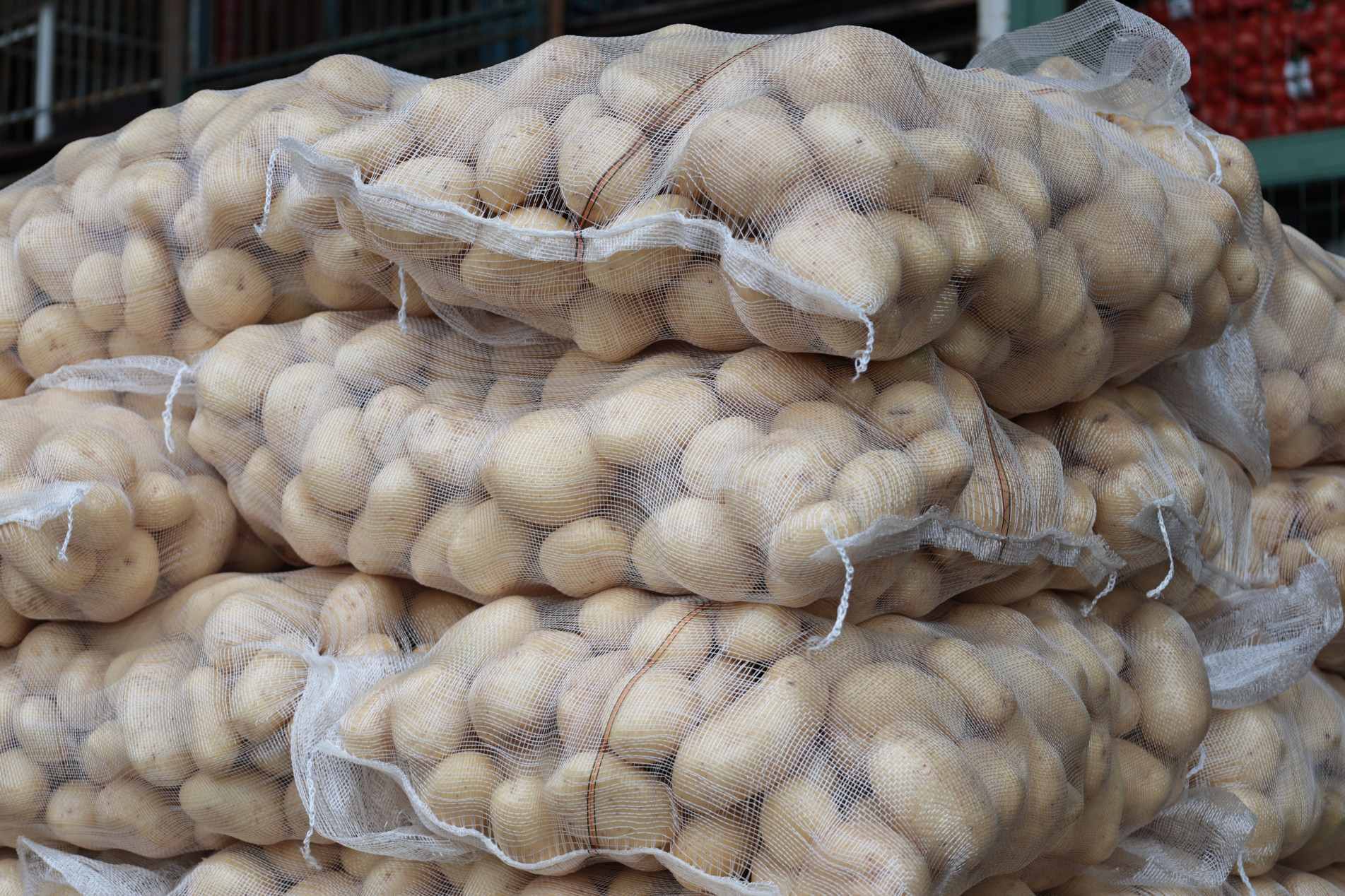 Valor do saco de batata quase que dobrou na Ceagesp de Sorocaba