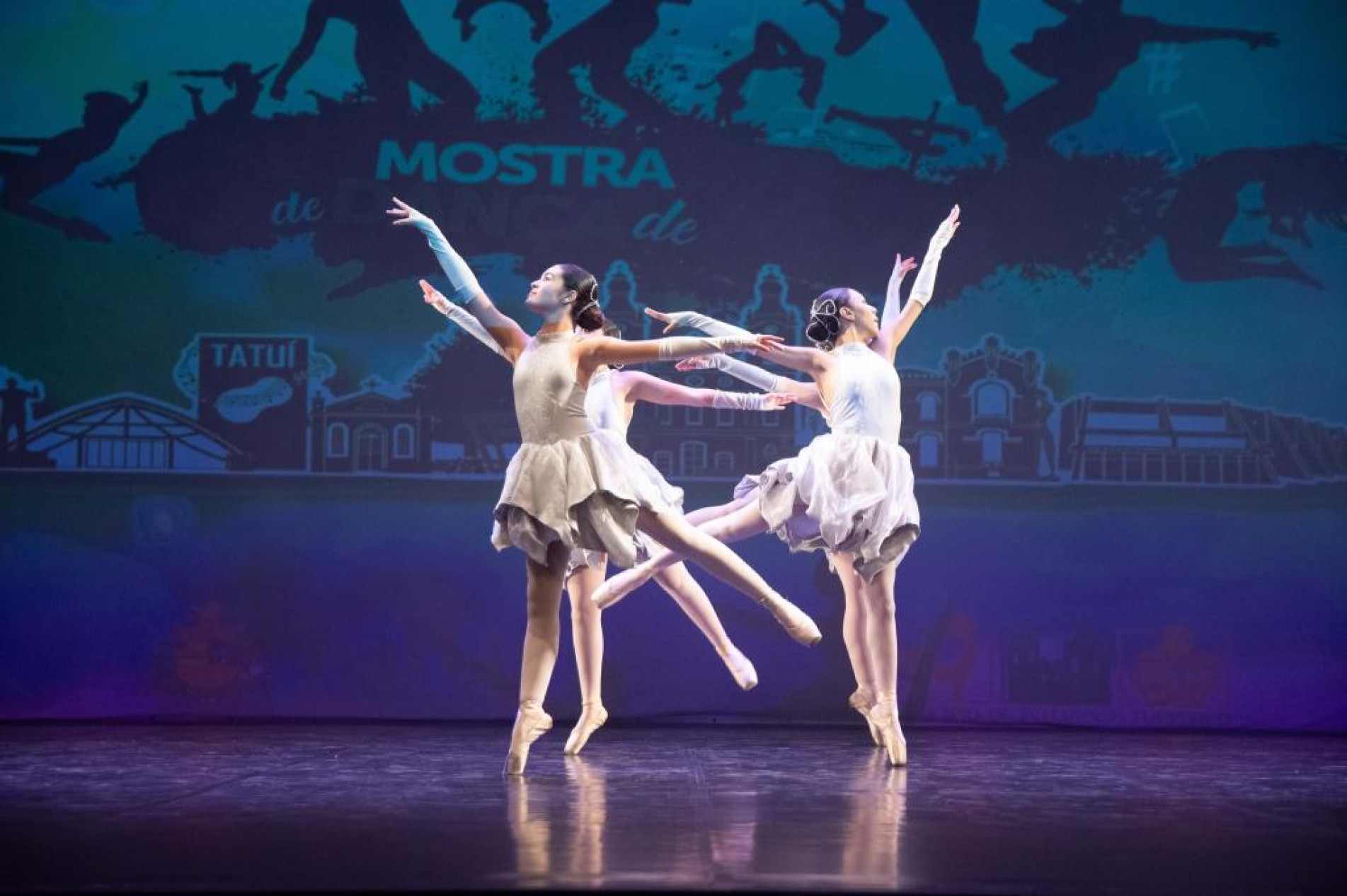 As 32 coreografias abrangem modalidades como balé clássico de repertório e livre, jazz, dança contemporânea, danças urbanas, dança de salão, sapateado, estilo livre, danças regionais e populares