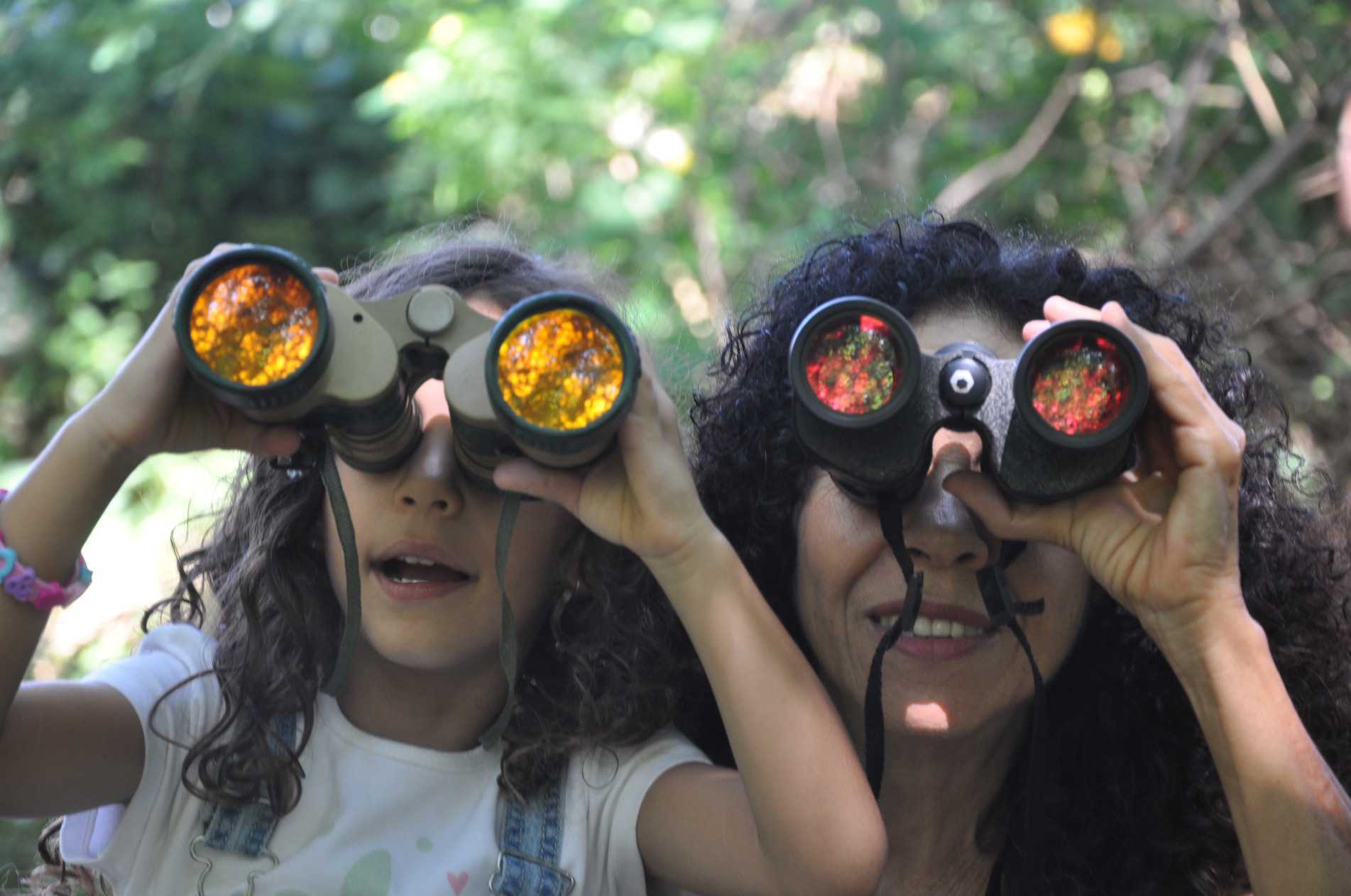 MOSTRA CACHOEIRA — Produção Regional. Saudosa Floresta, de Marcia Mah, Sorocaba