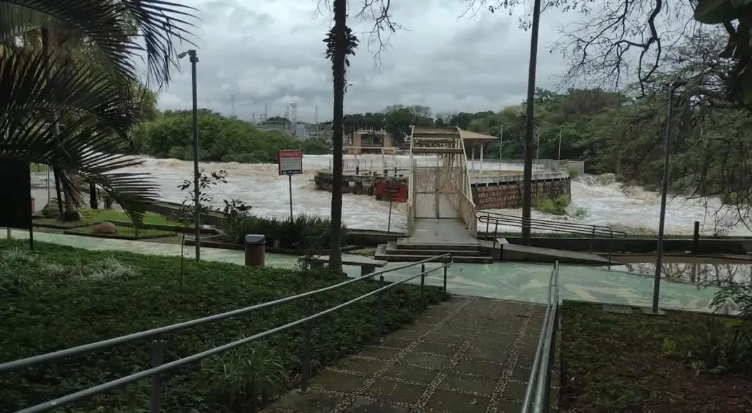 Ver foto