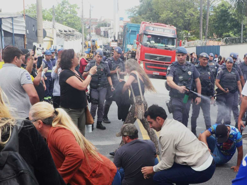 Elefante Sandro deixa zoológico de Sorocaba com protestos e gás de pimenta