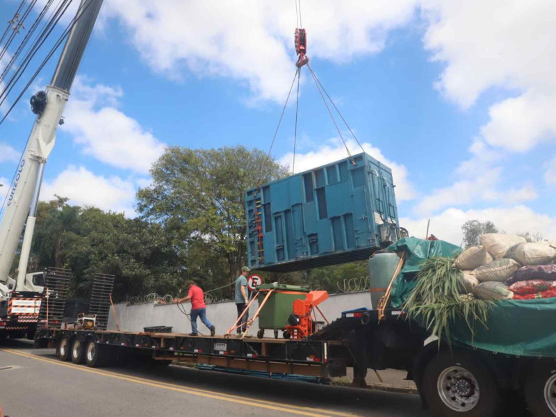Após 40 anos em Sorocaba, elefante Sandro parte para santuário no Mato Grosso