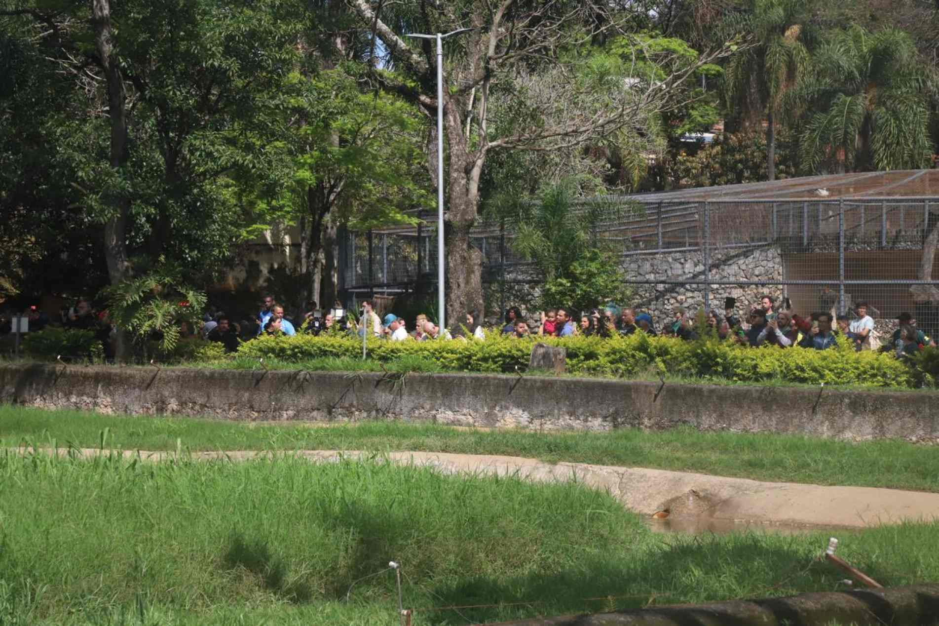 Ver foto
