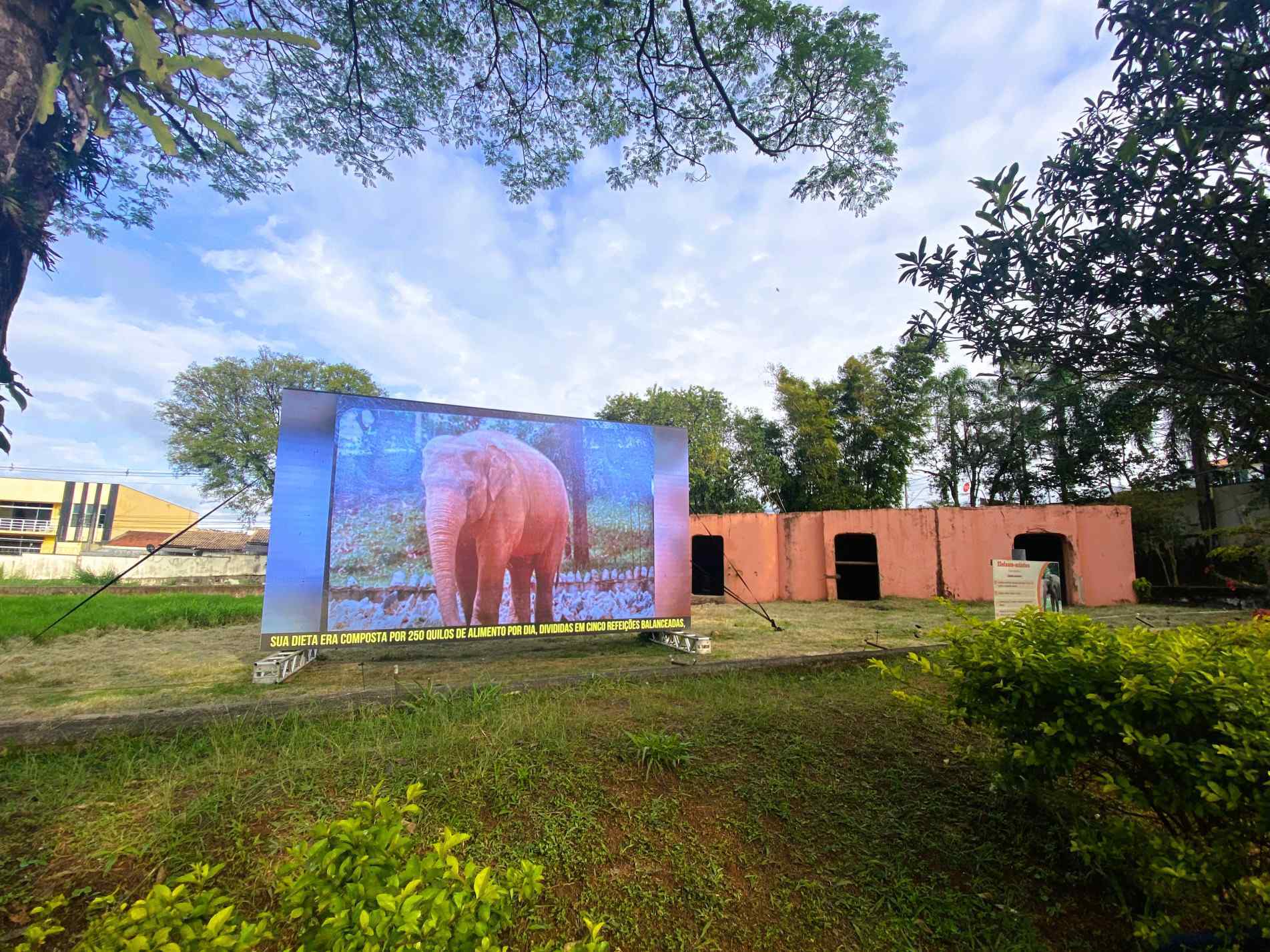 Um telão no recinto relembra o animal