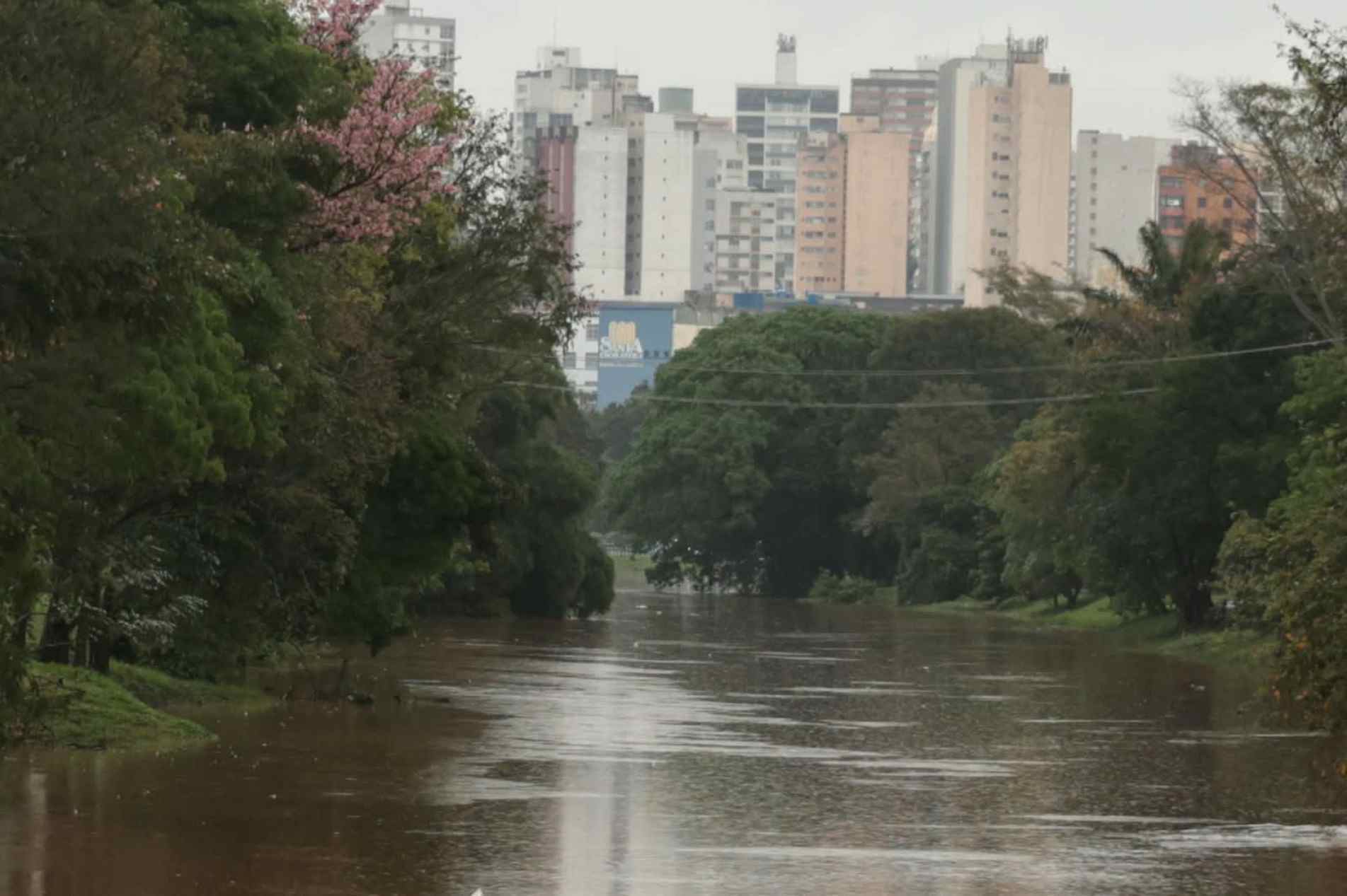 Ver foto
