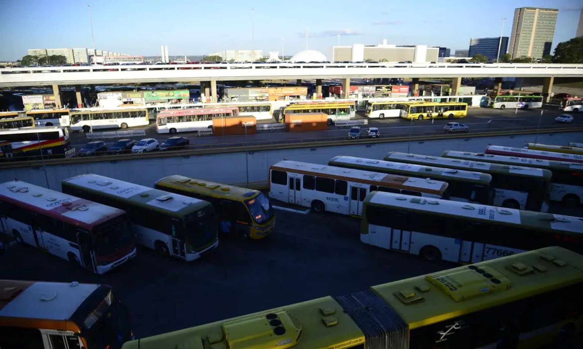 Frequência de ônibus deve ser igual à de um dia comum