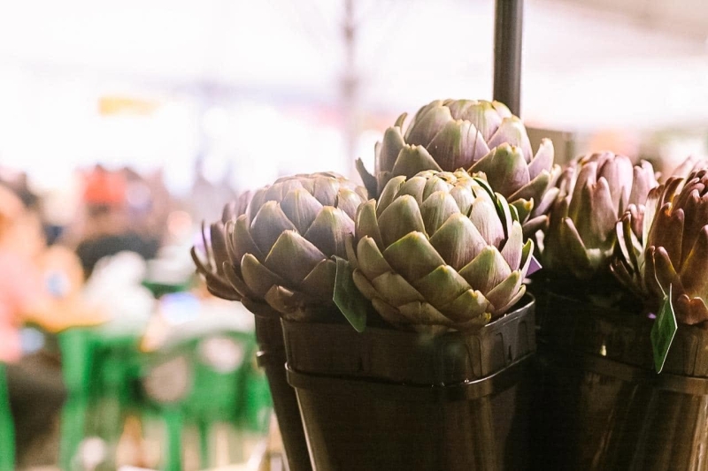 Alcachofra é uma planta originária do Mediterrâneo cujo formato de flor é muito apreciado na alta gastronomia
