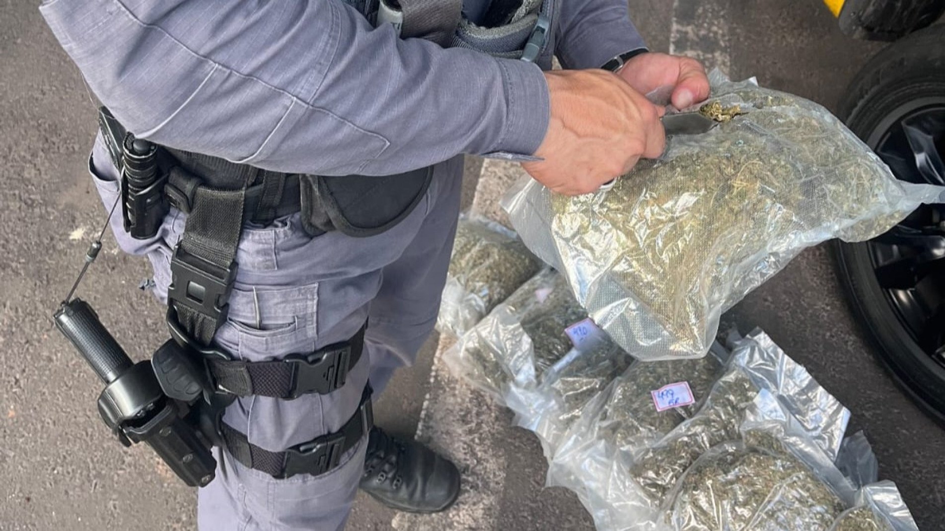 A apreensão total dos 82 pacotes que somam 43,185 quilos da droga, resultou em um prejuízo de R$ 2,1 milhão ao crime organizado 