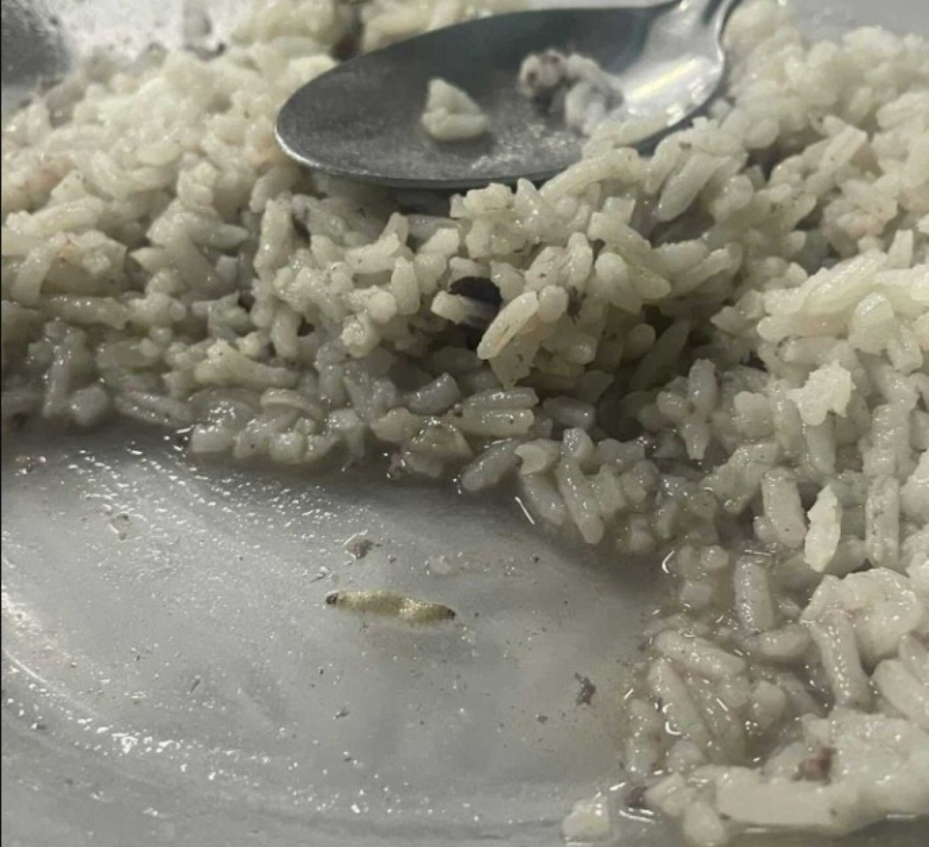 Larvas foram encontrada na merenda da instituição