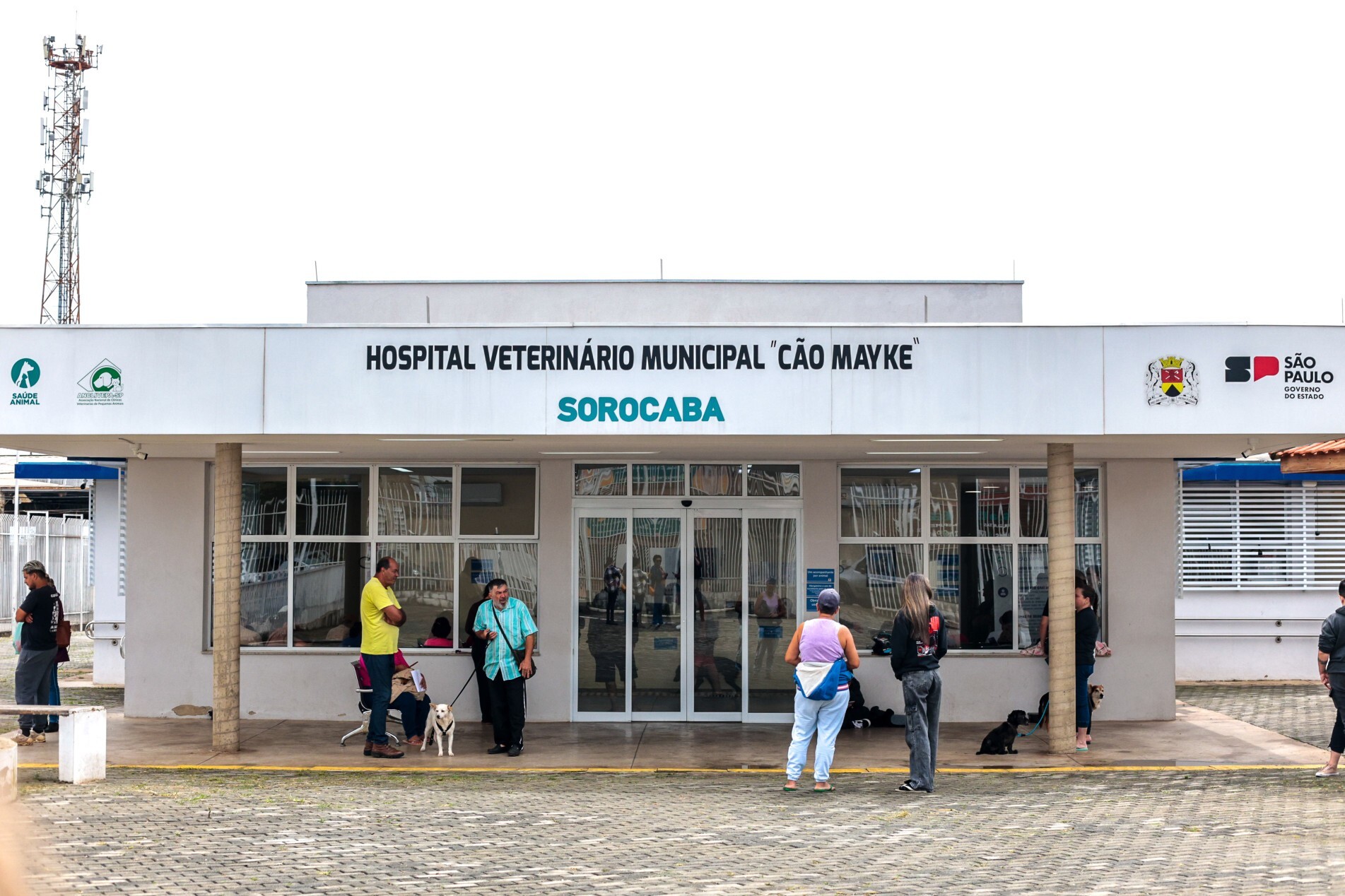 Hospital- VETERIN&Aacute;RIO