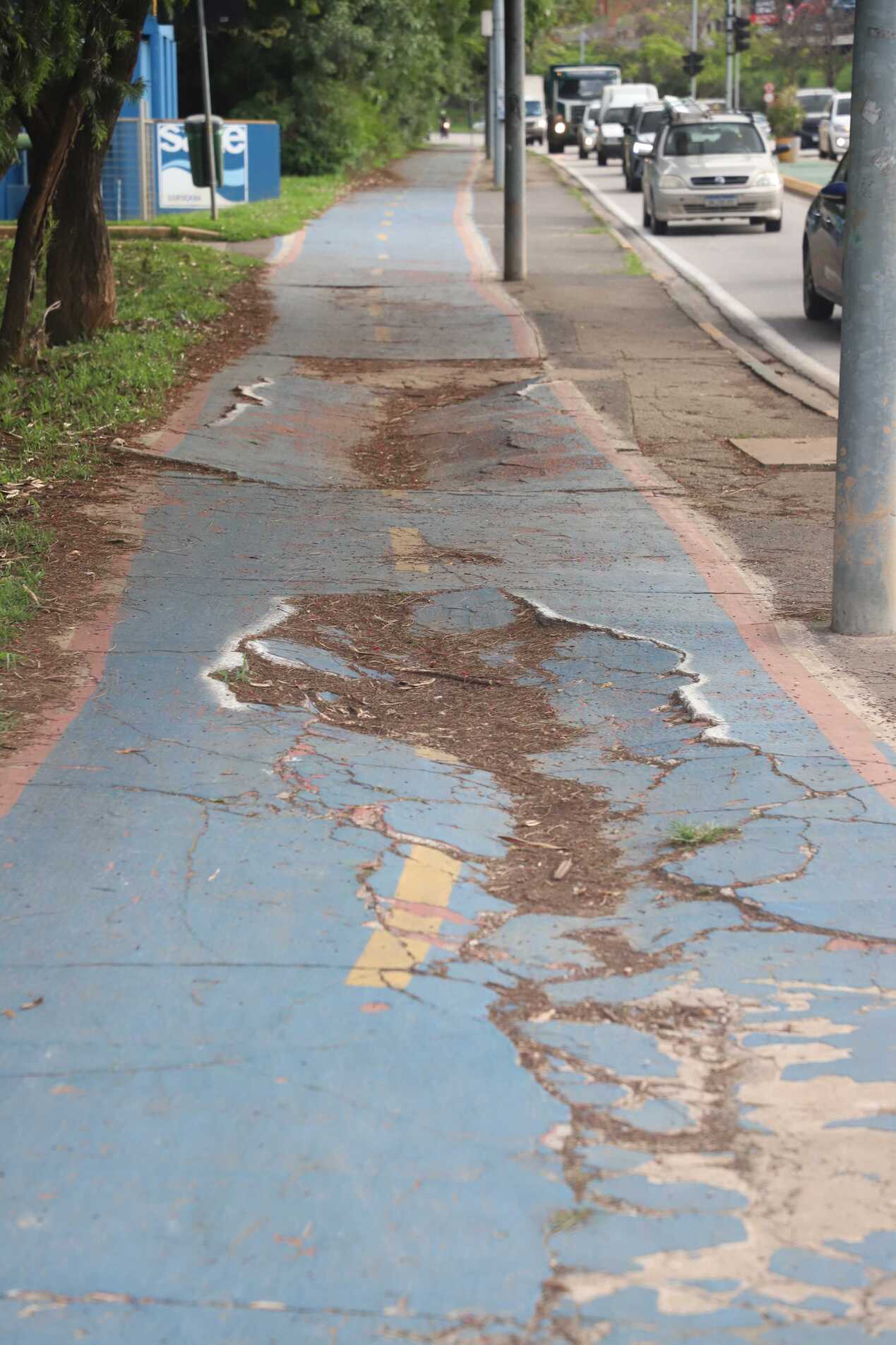 Buracos e rachaduras em um dos trechos da ciclovia na Dom Aguirre